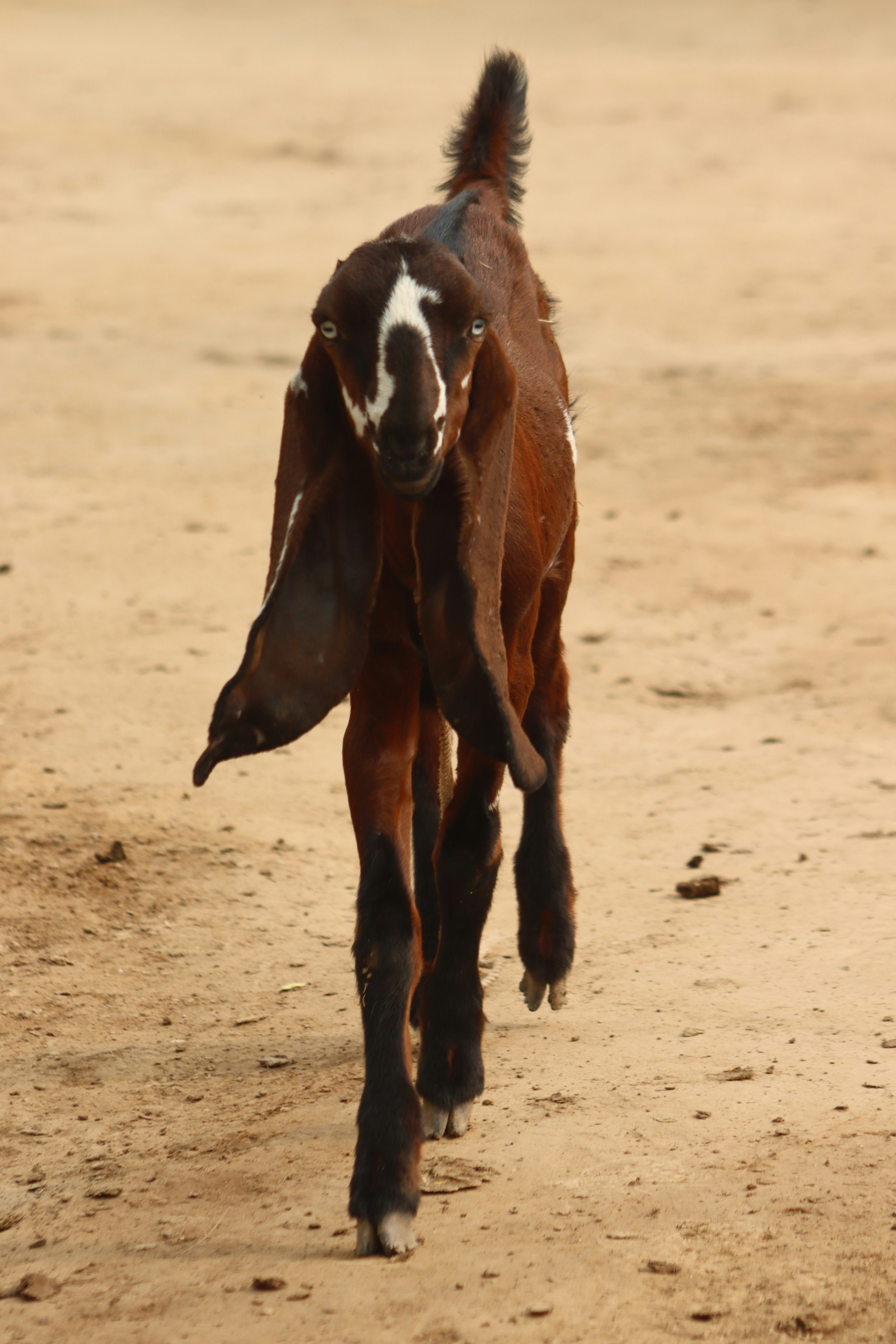 Photo by drphotographer152