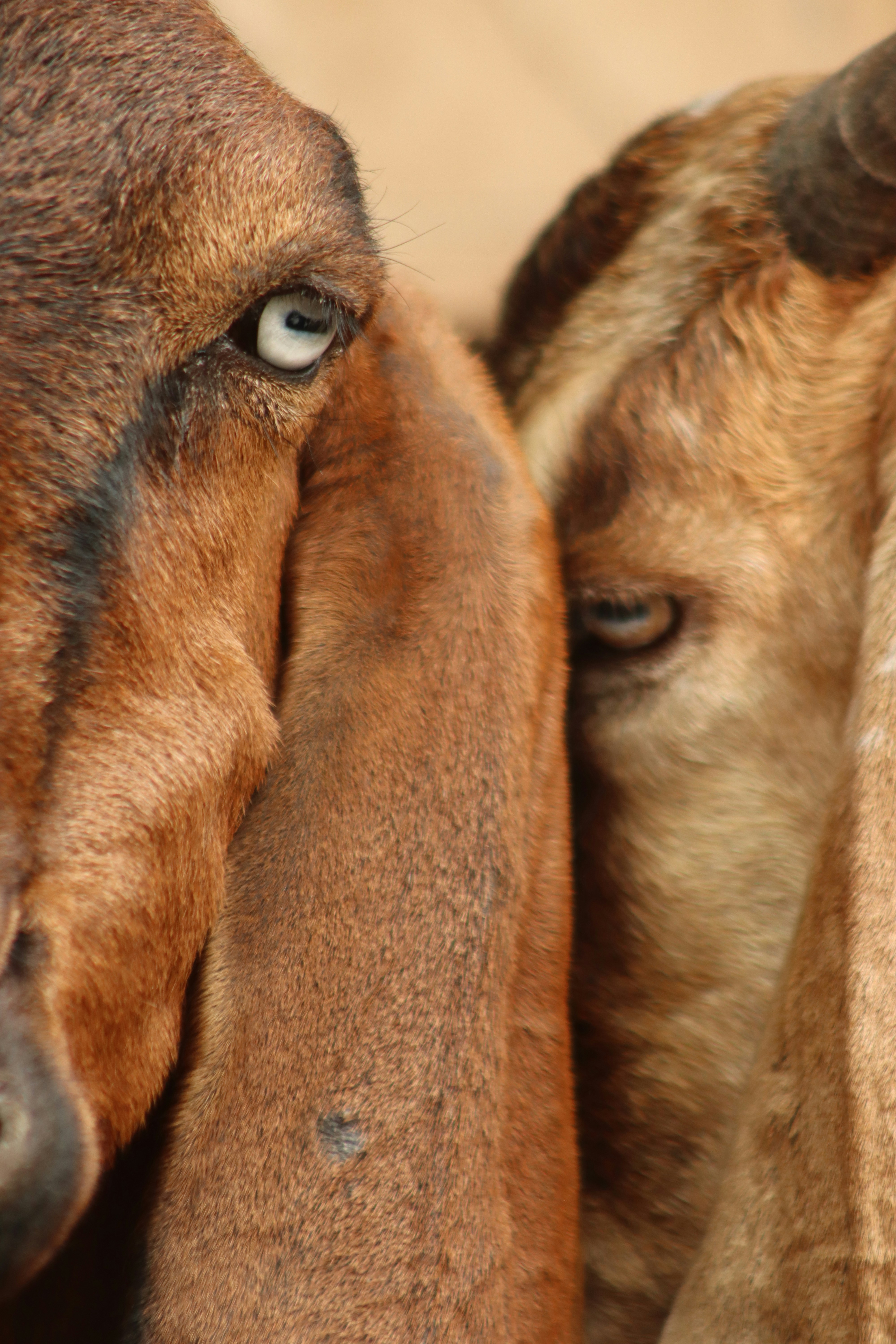 Photo by drphotographer152