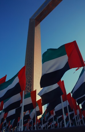 A bunch of flags that are next to each other