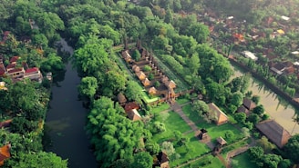 A river running through a lush green forest