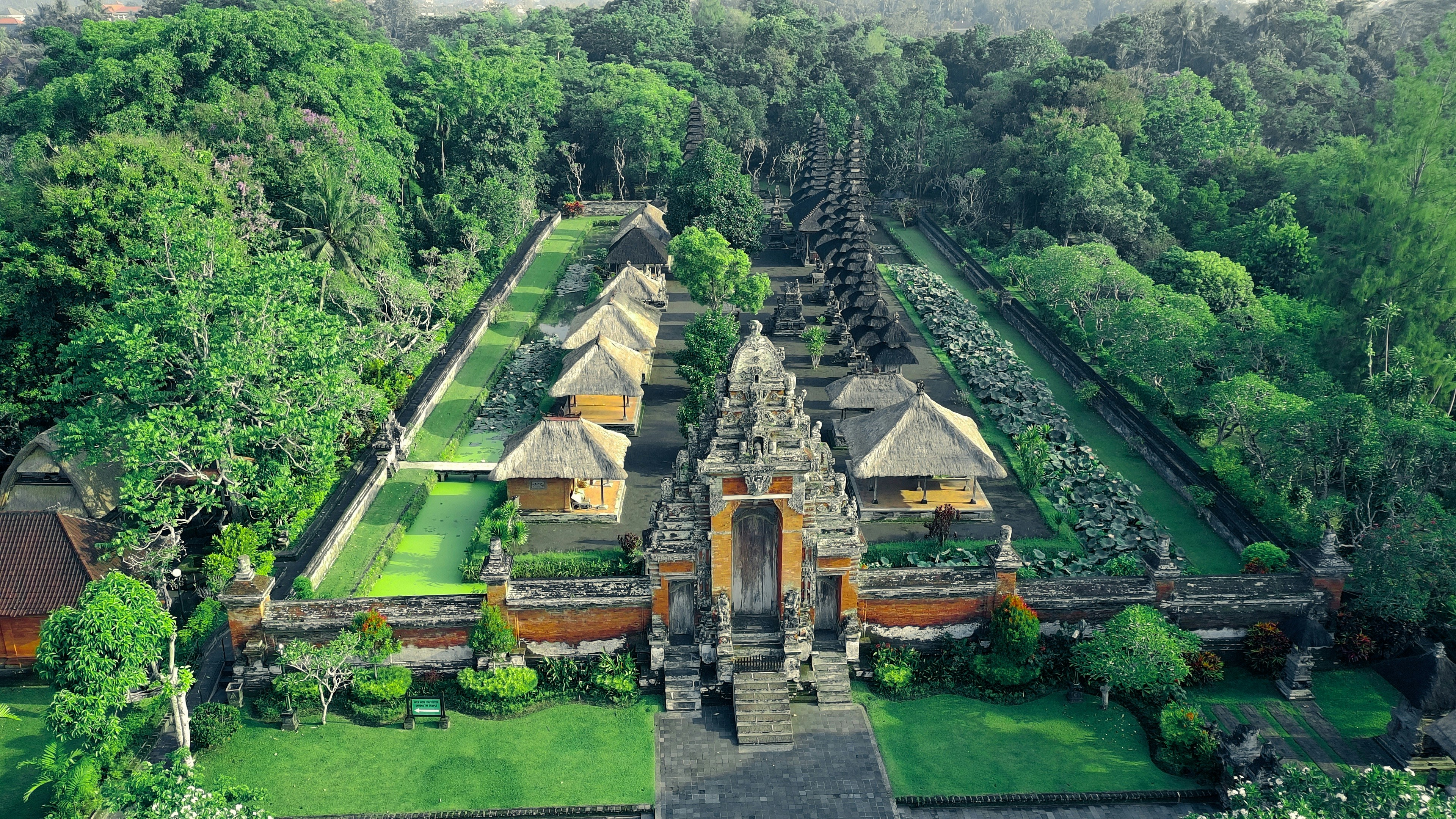 An aerial view of a lush green garden