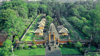 An aerial view of a lush green garden