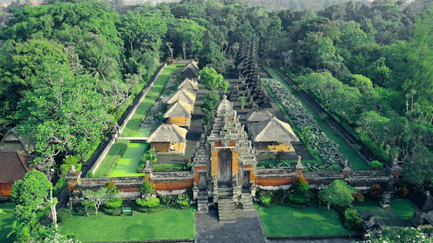 An aerial view of a lush green garden