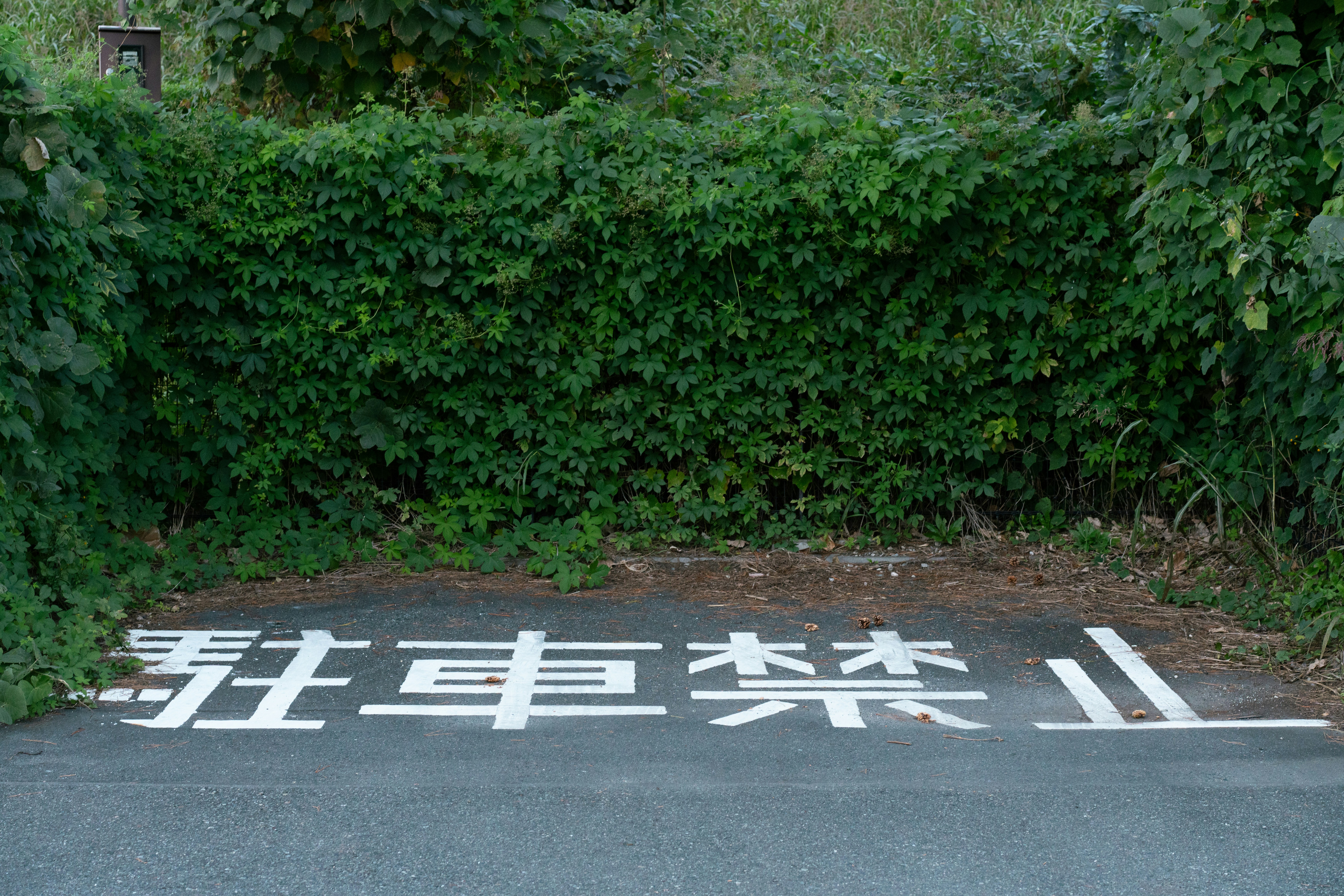 A sign that is in the middle of a road