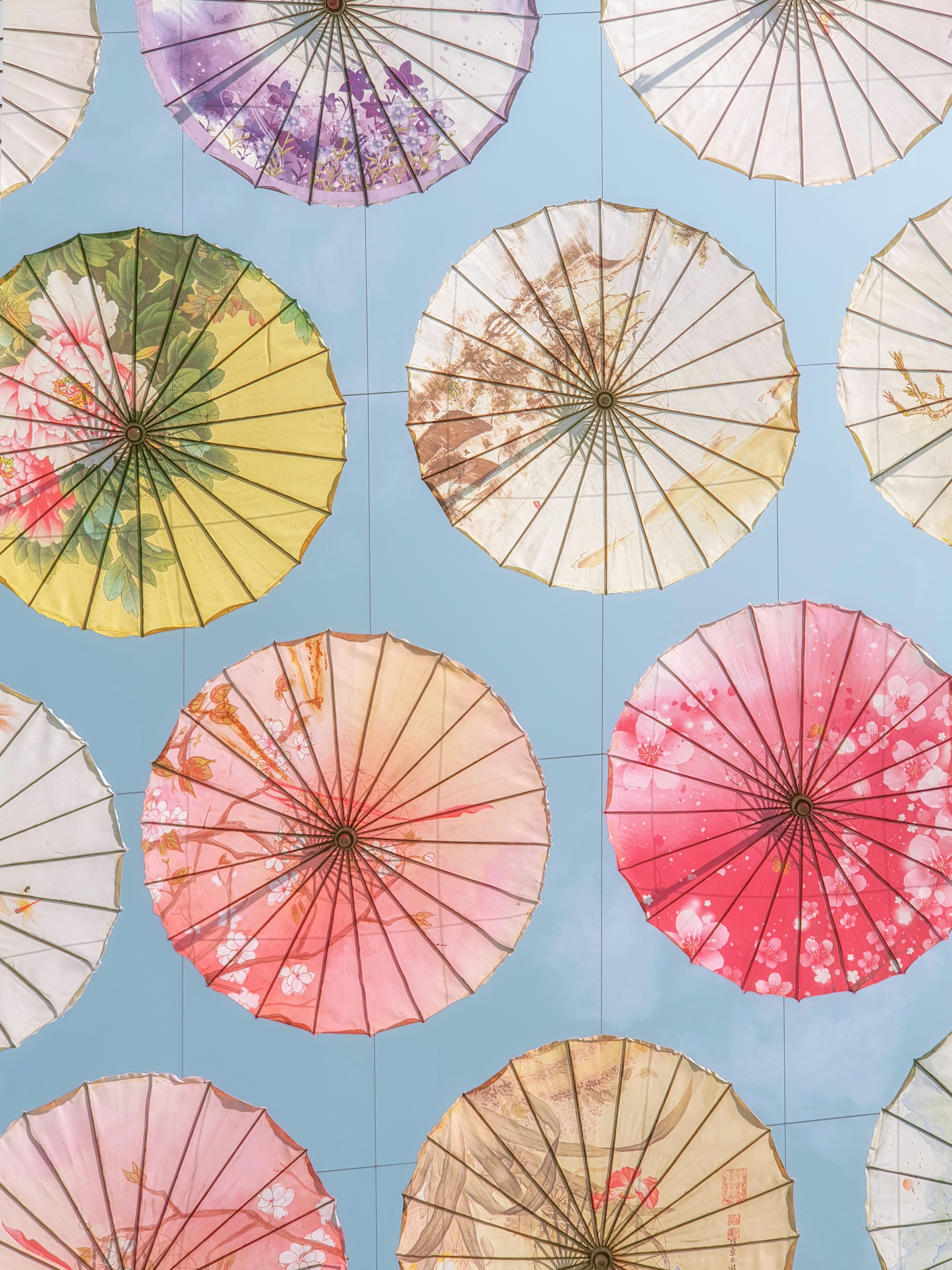 A bunch of umbrellas that are on a wall