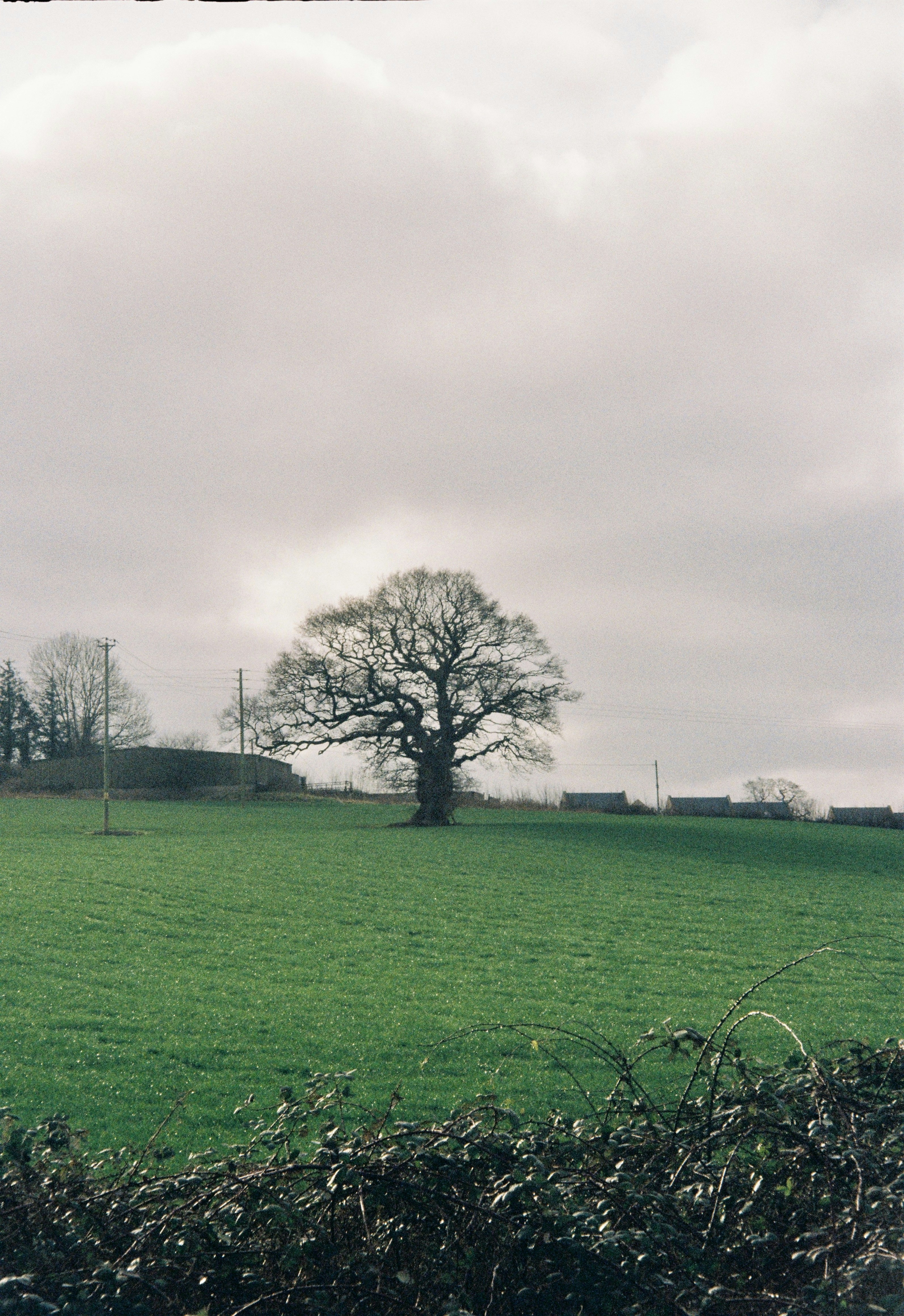 Photo by 3240xiaohong