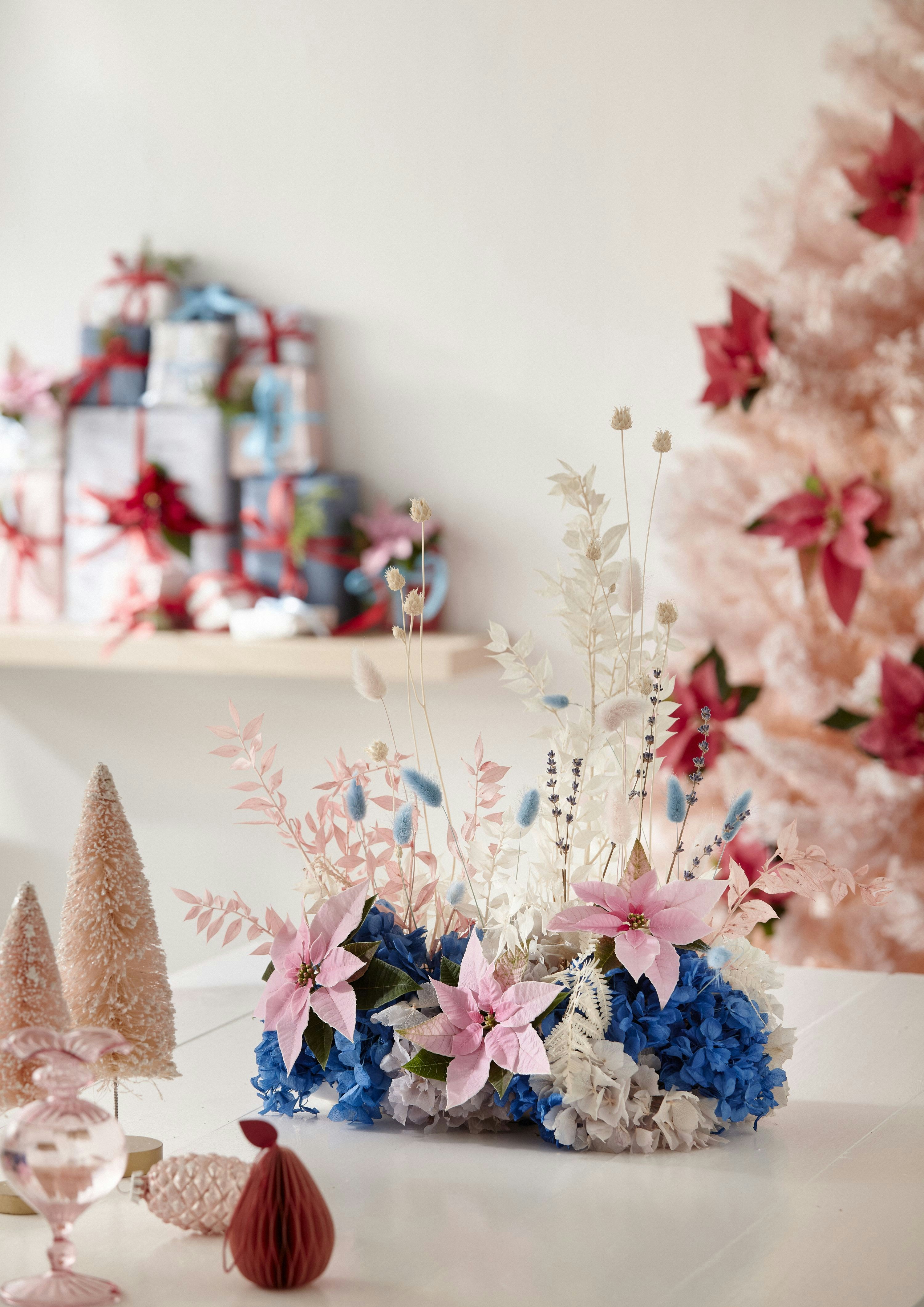 Photo by shaylabruins