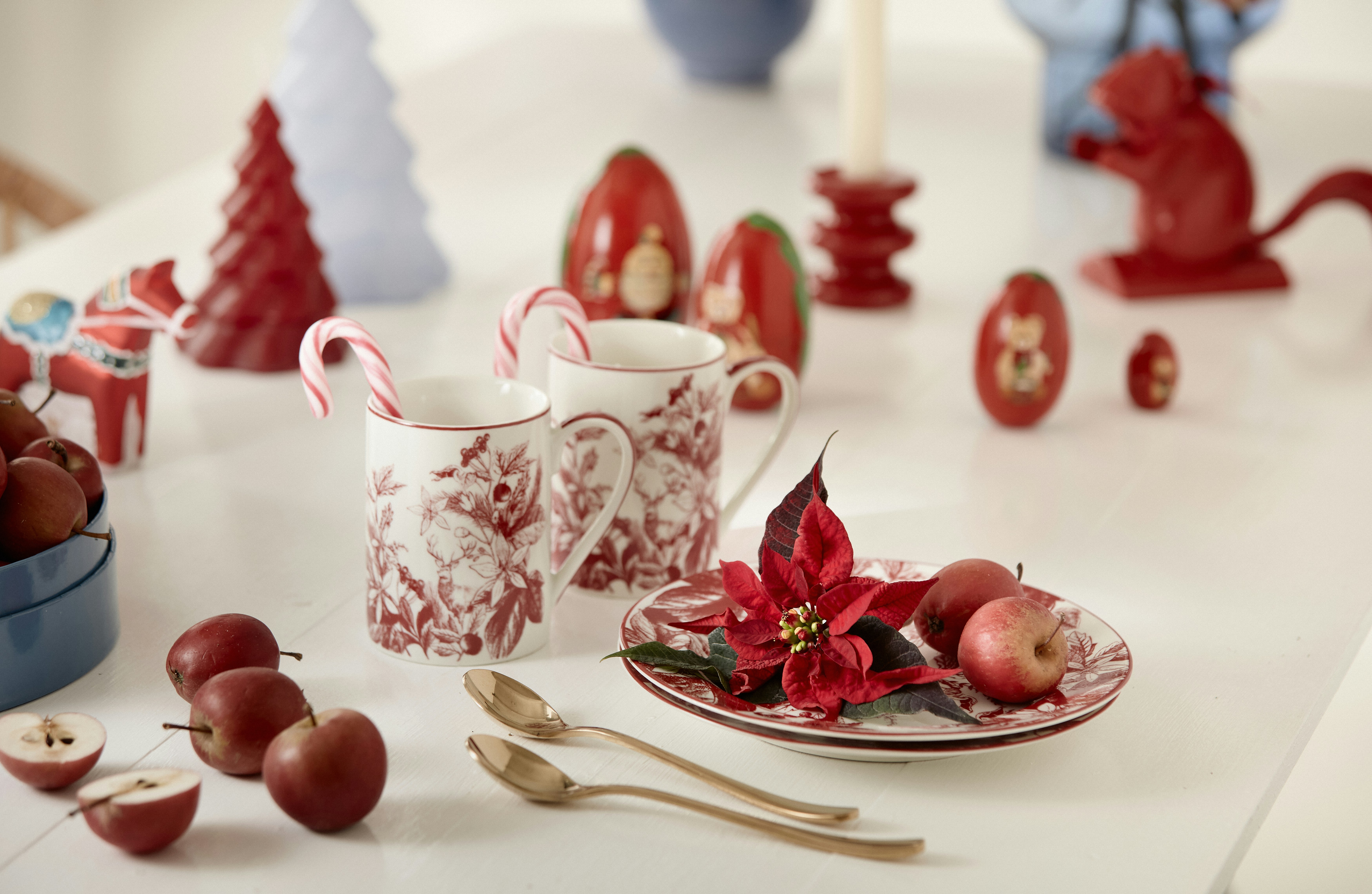 Photo by shaylabruins