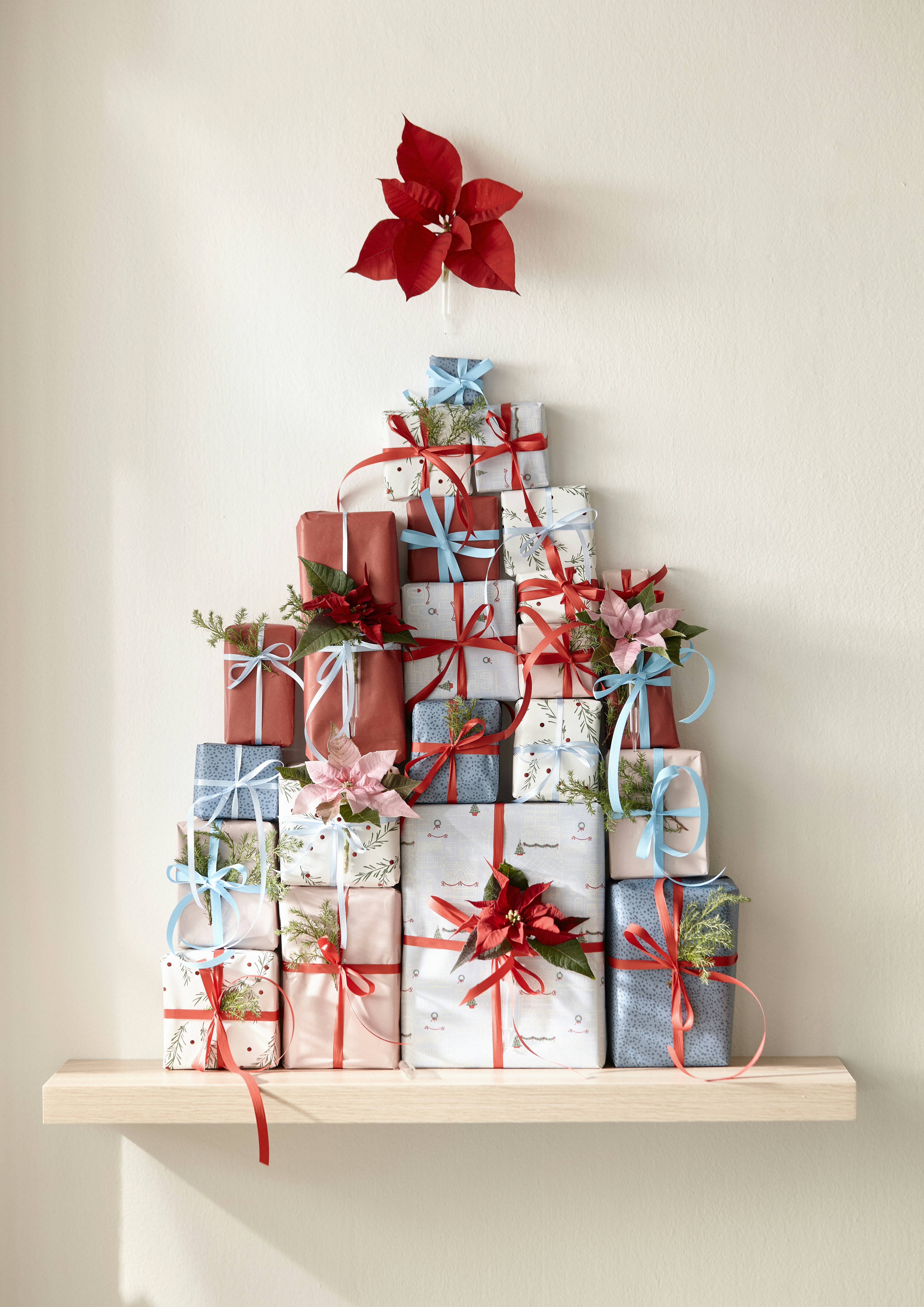 Photo by shaylabruins