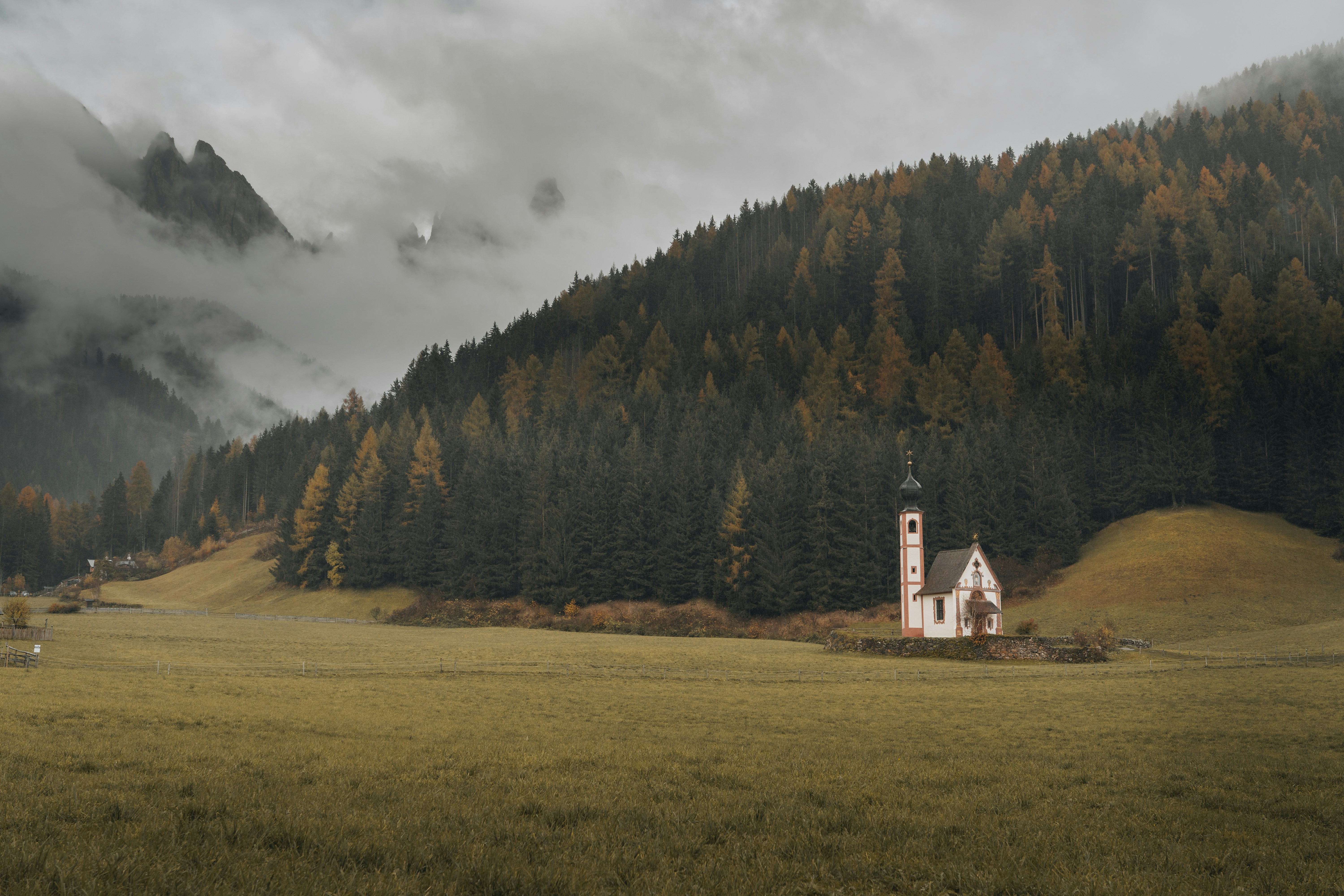 Photo by androwv