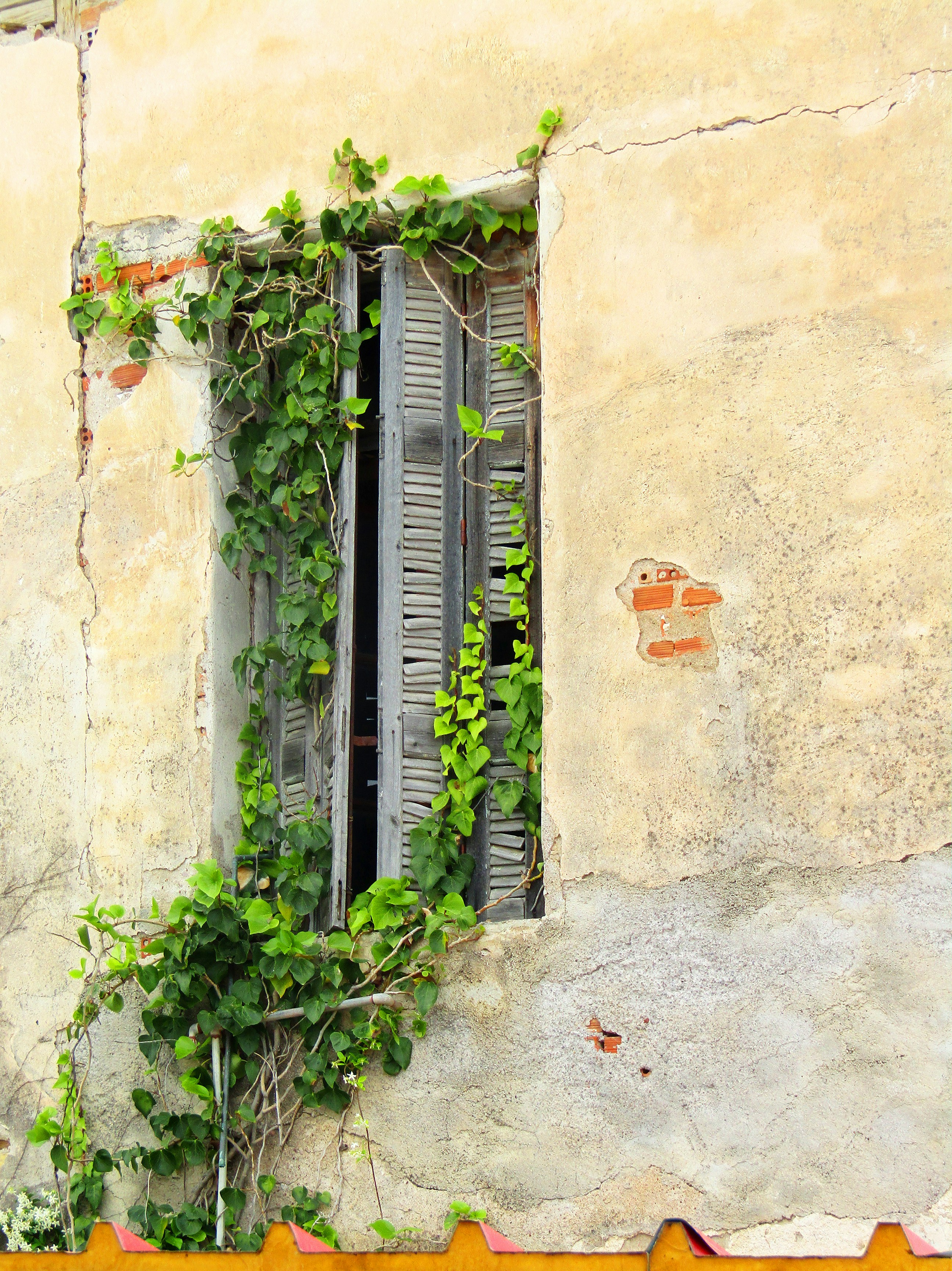 Photo by conniedevries