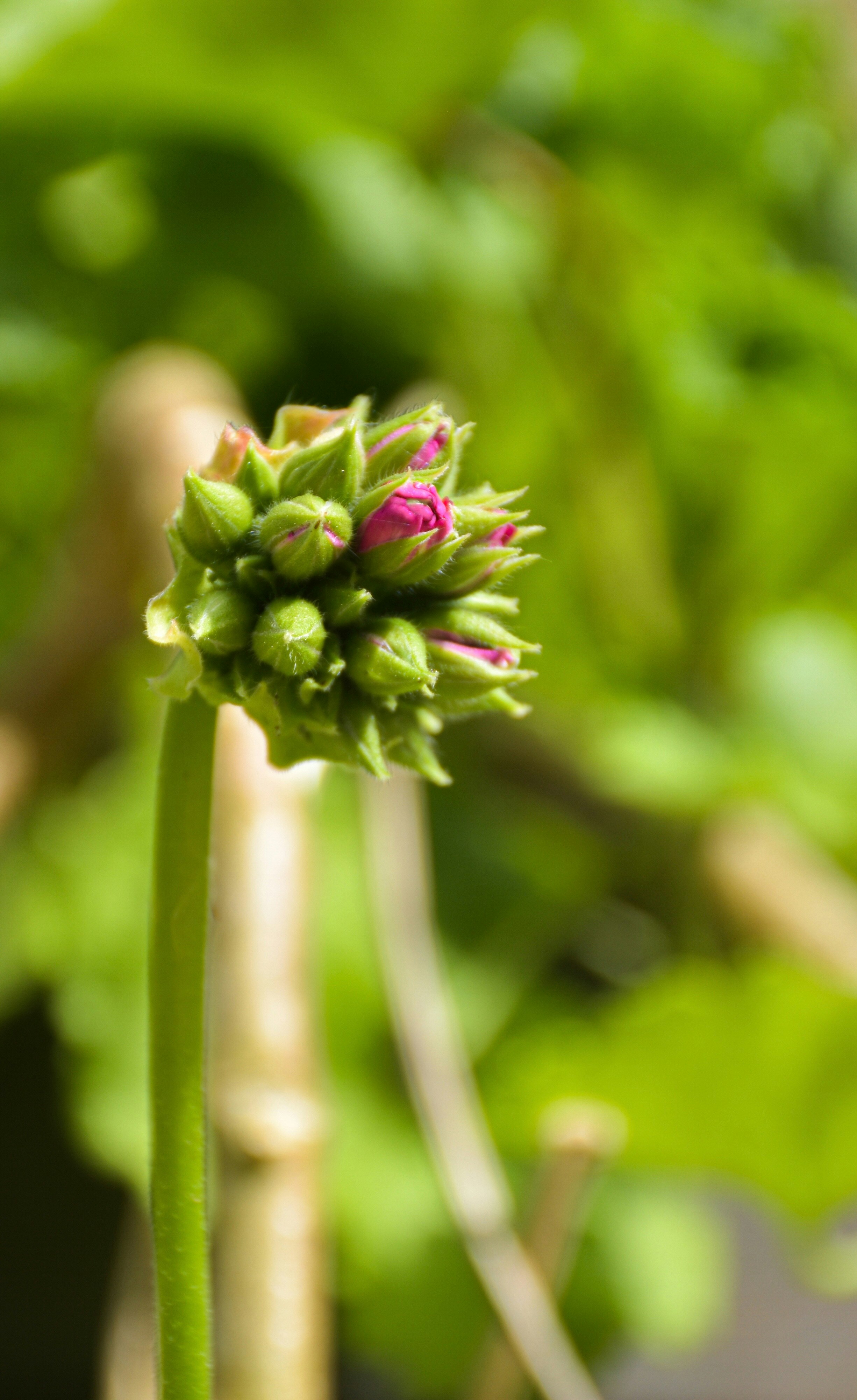 Photo by lend_crafted_by_amjad