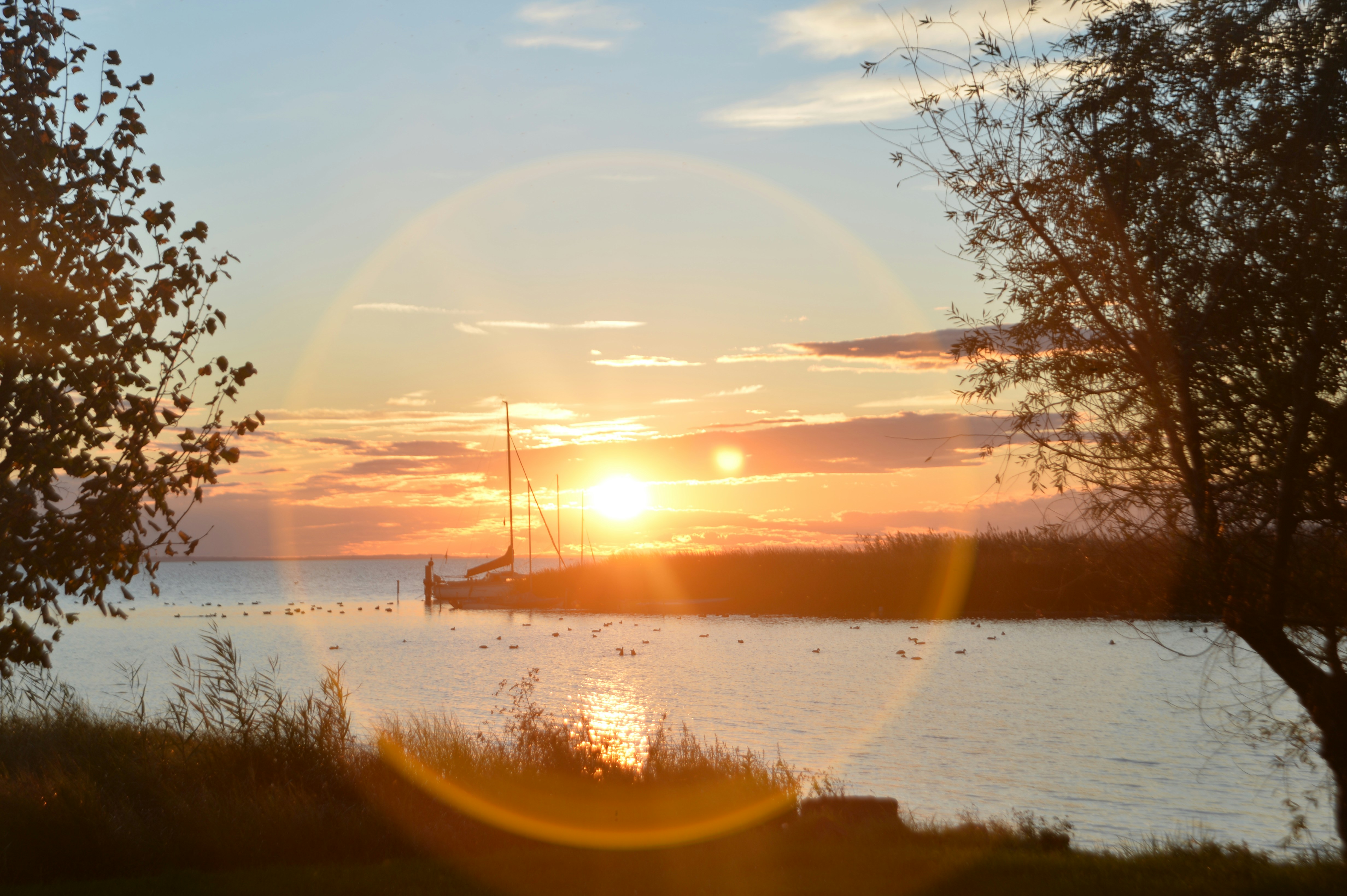 Photo by baliko_andras