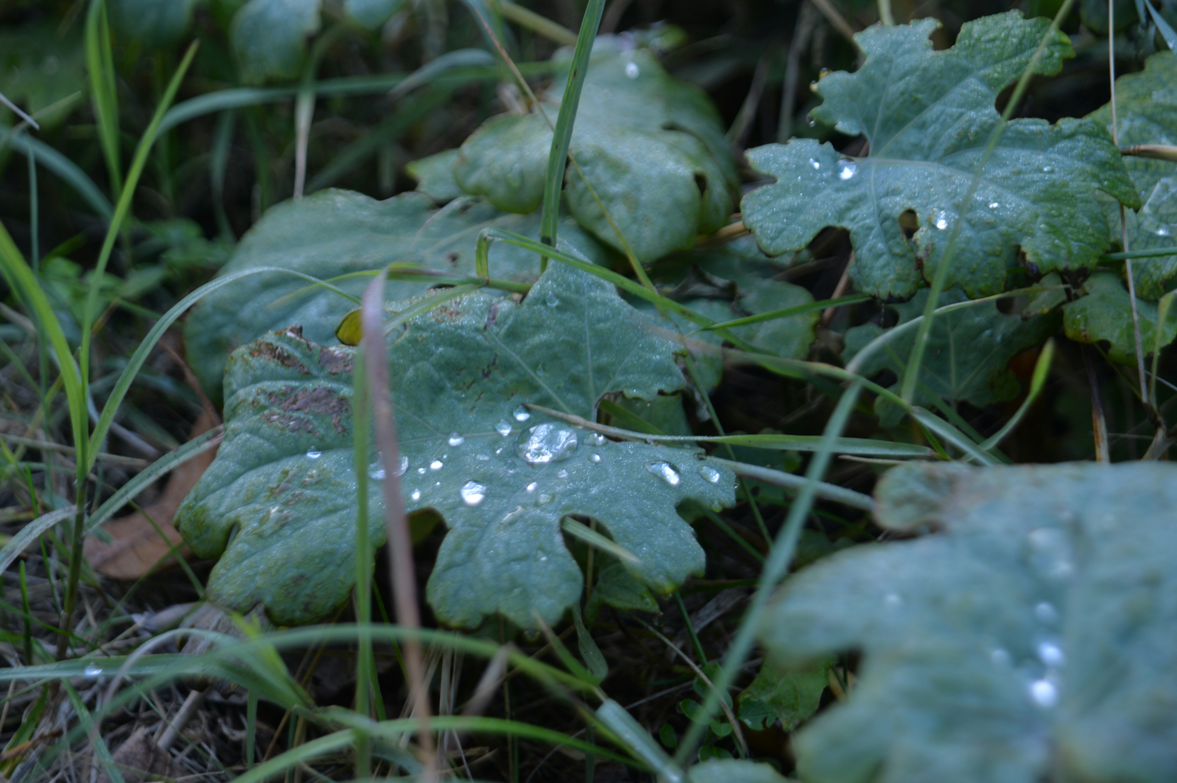 Photo by baliko_andras