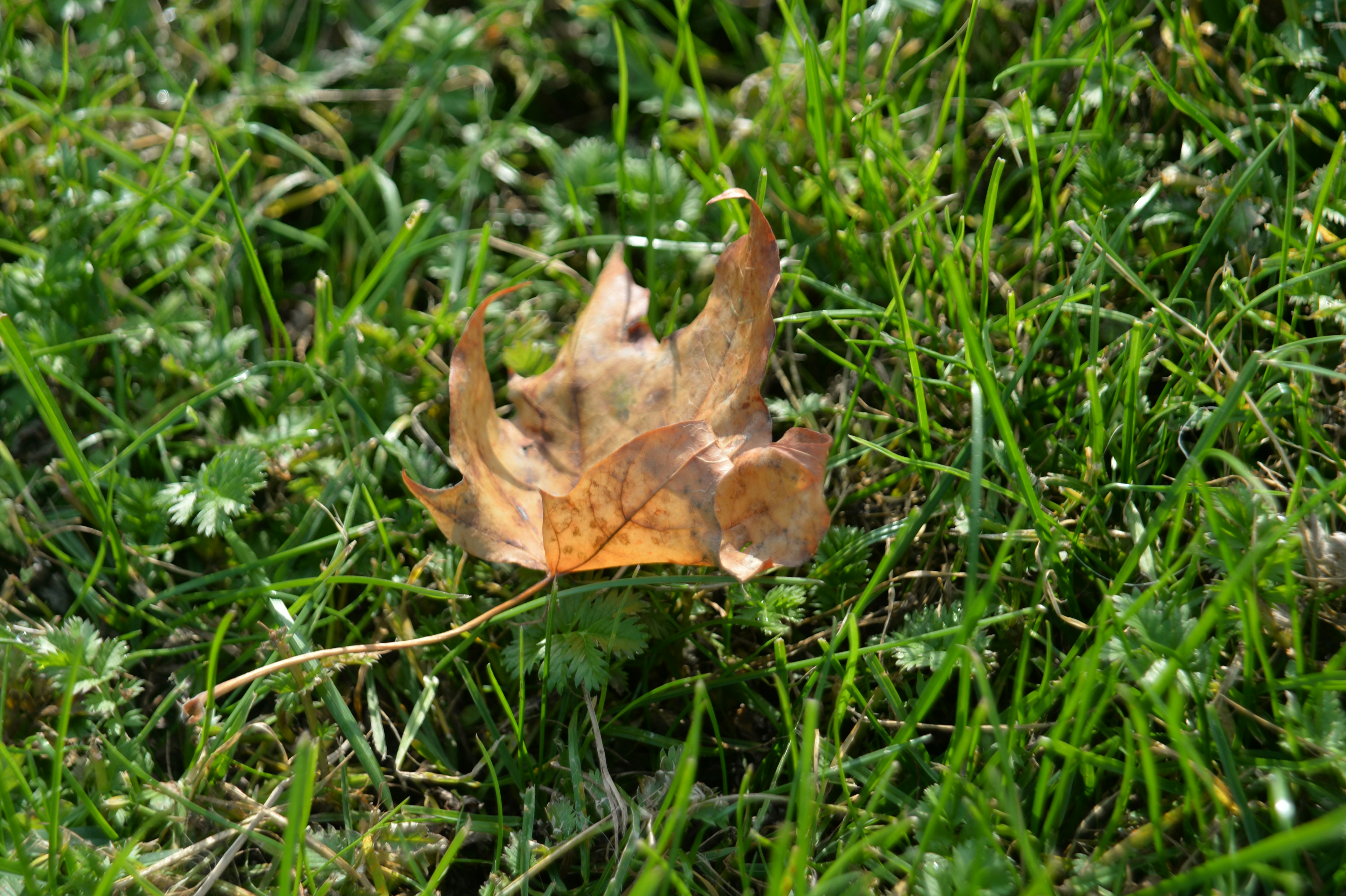 Photo by baliko_andras