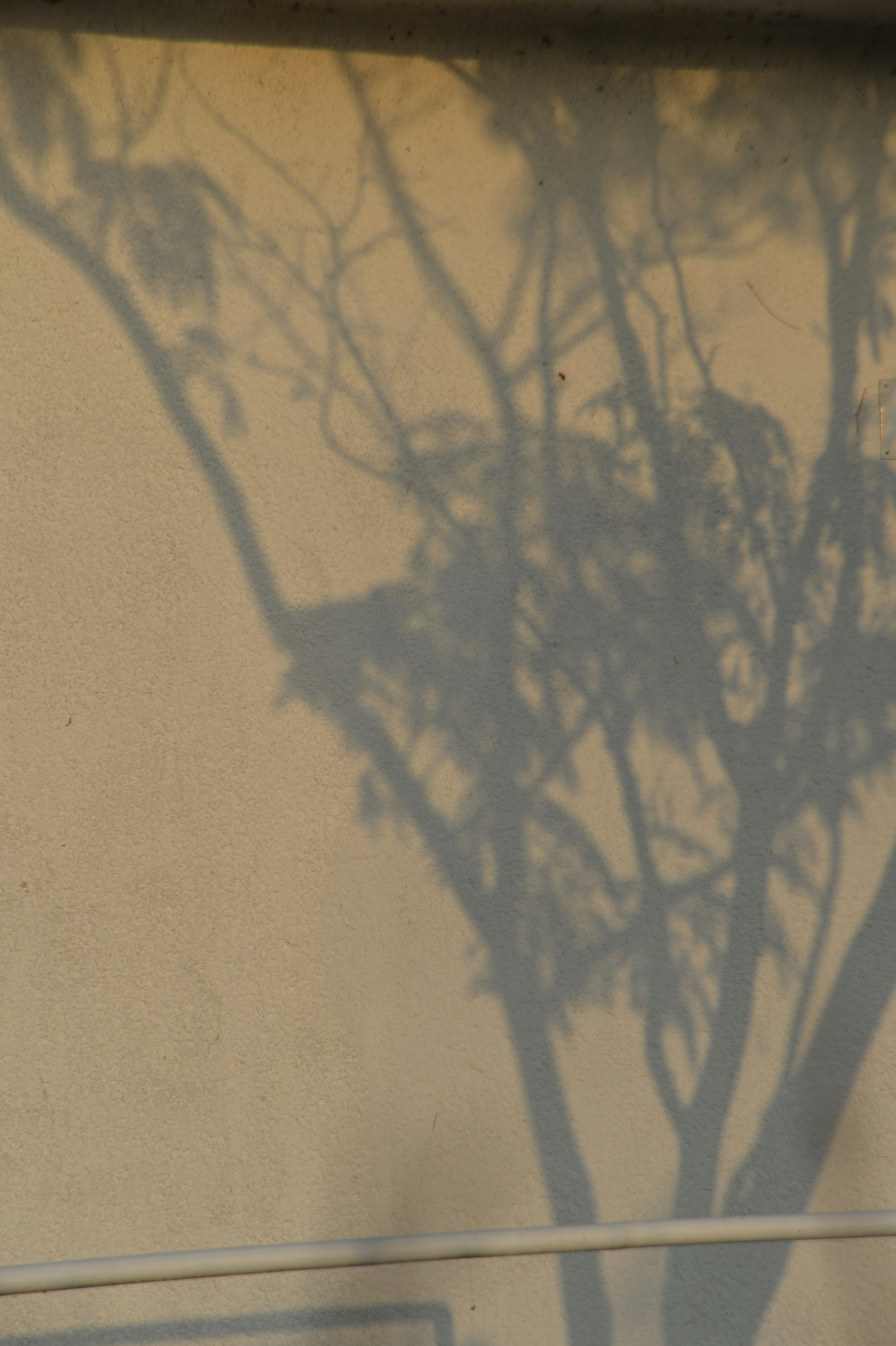 Photo by baliko_andras