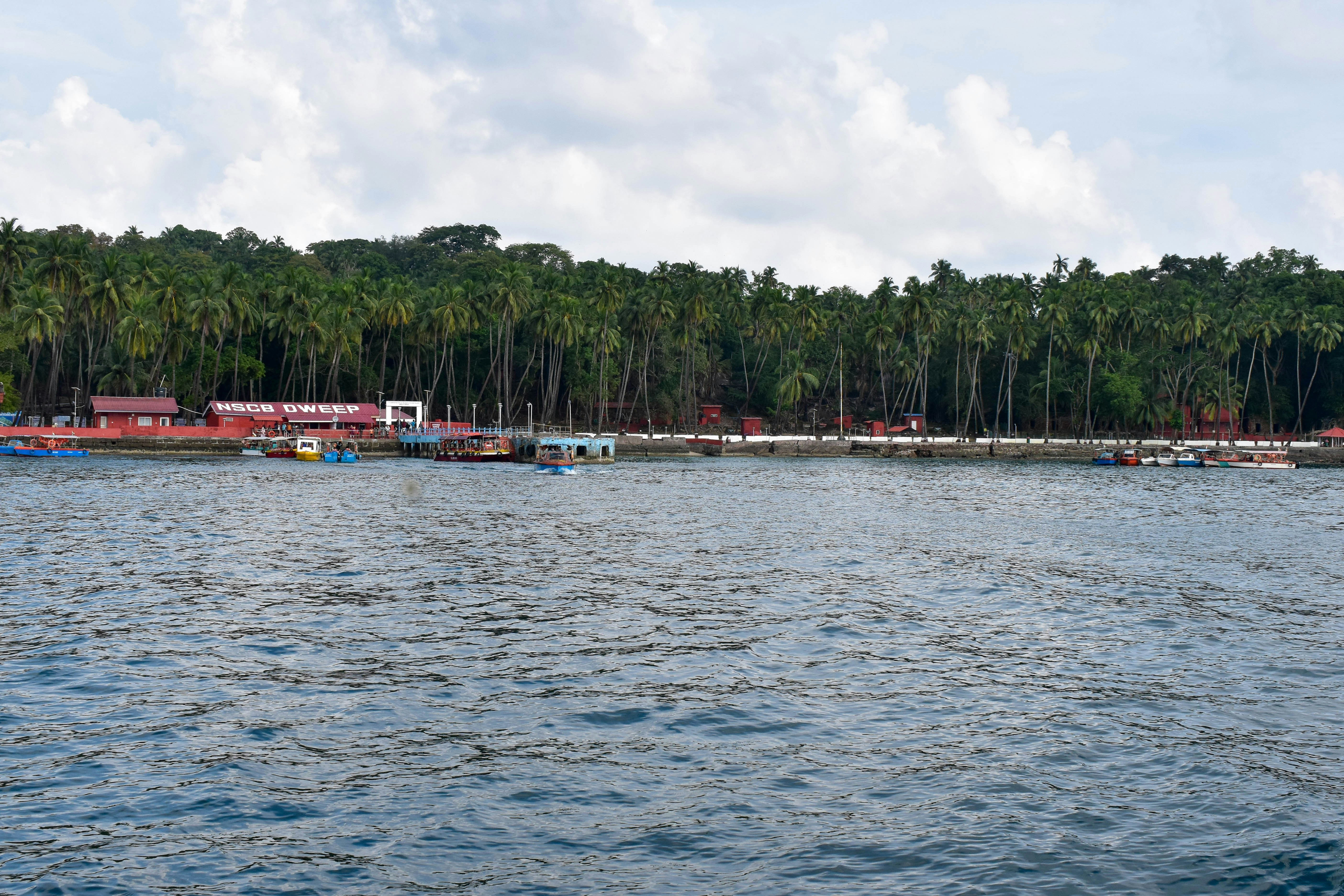 A body of water with a bunch of boats in it