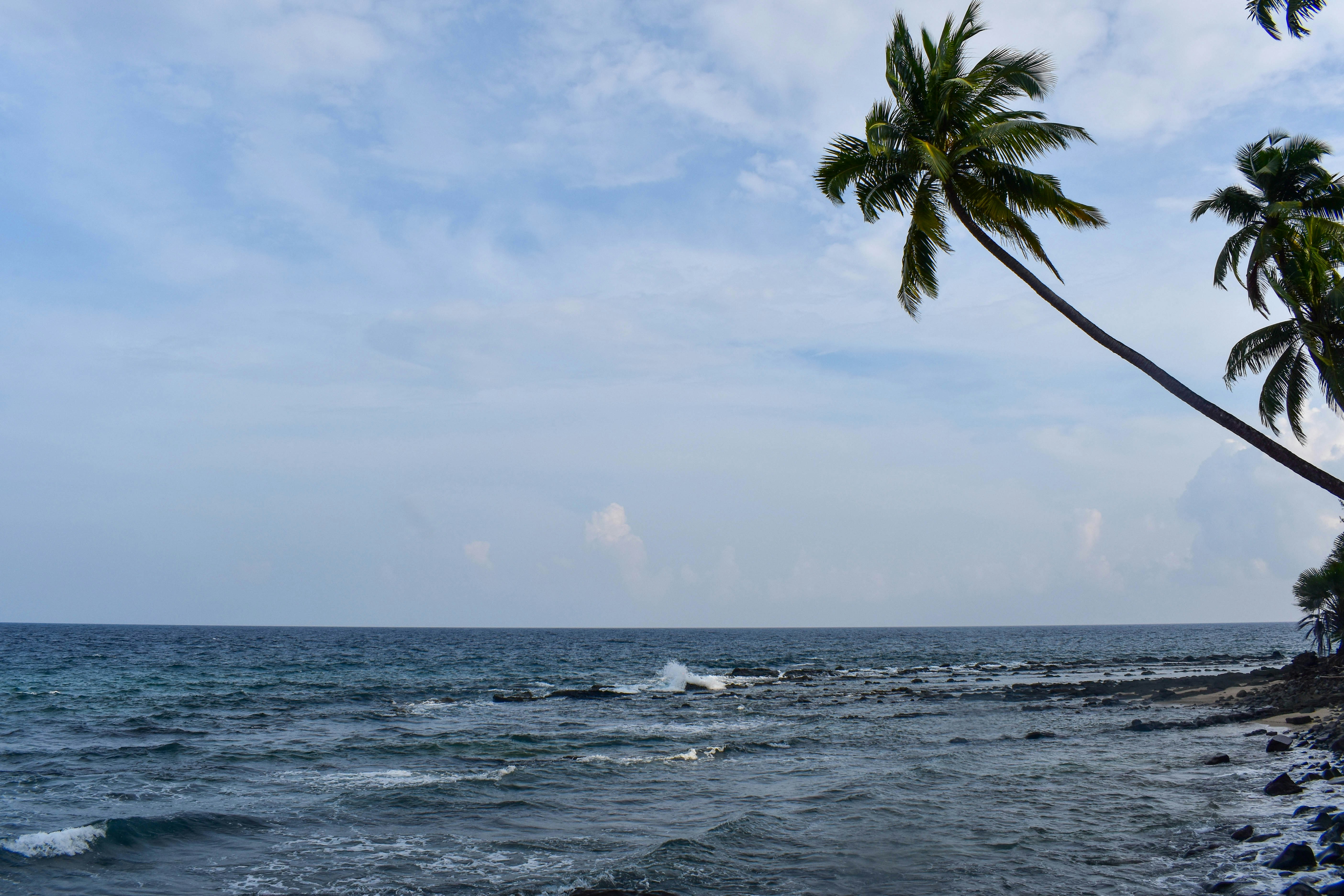 Photo by debarghyameikap