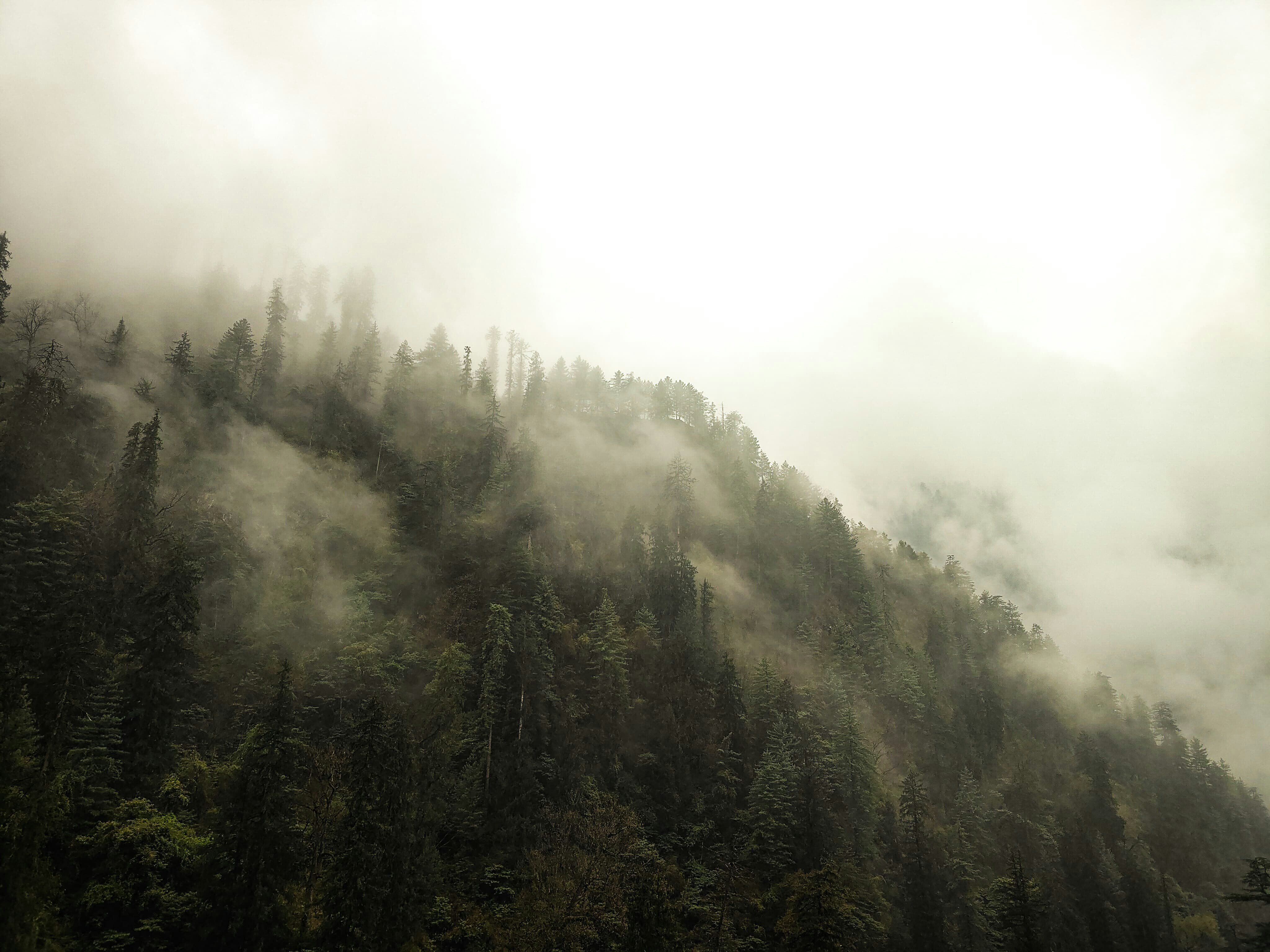 Photo by jain_videh16