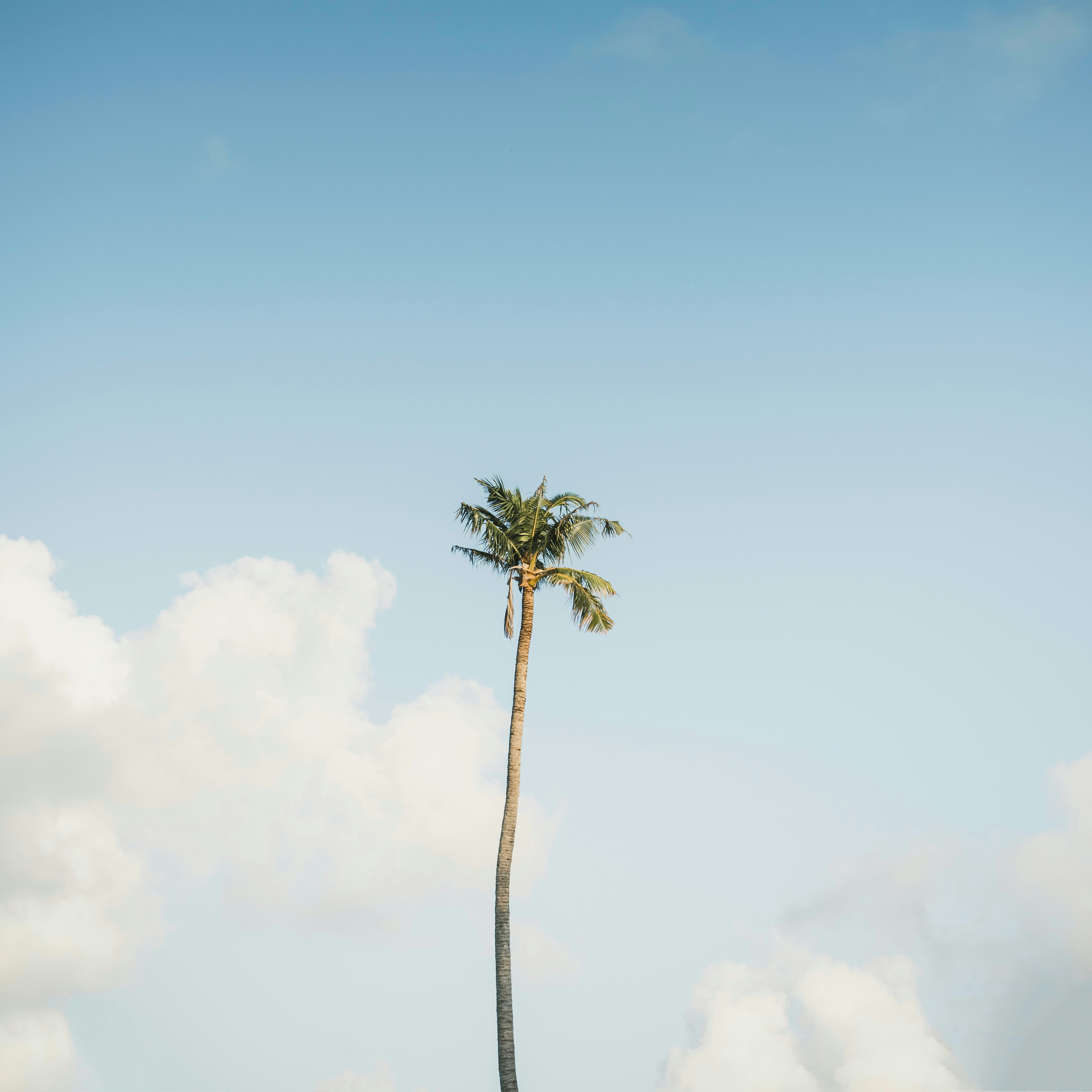 Daily Productive Sharing 1116 - Spreadsheet as Whiteboard