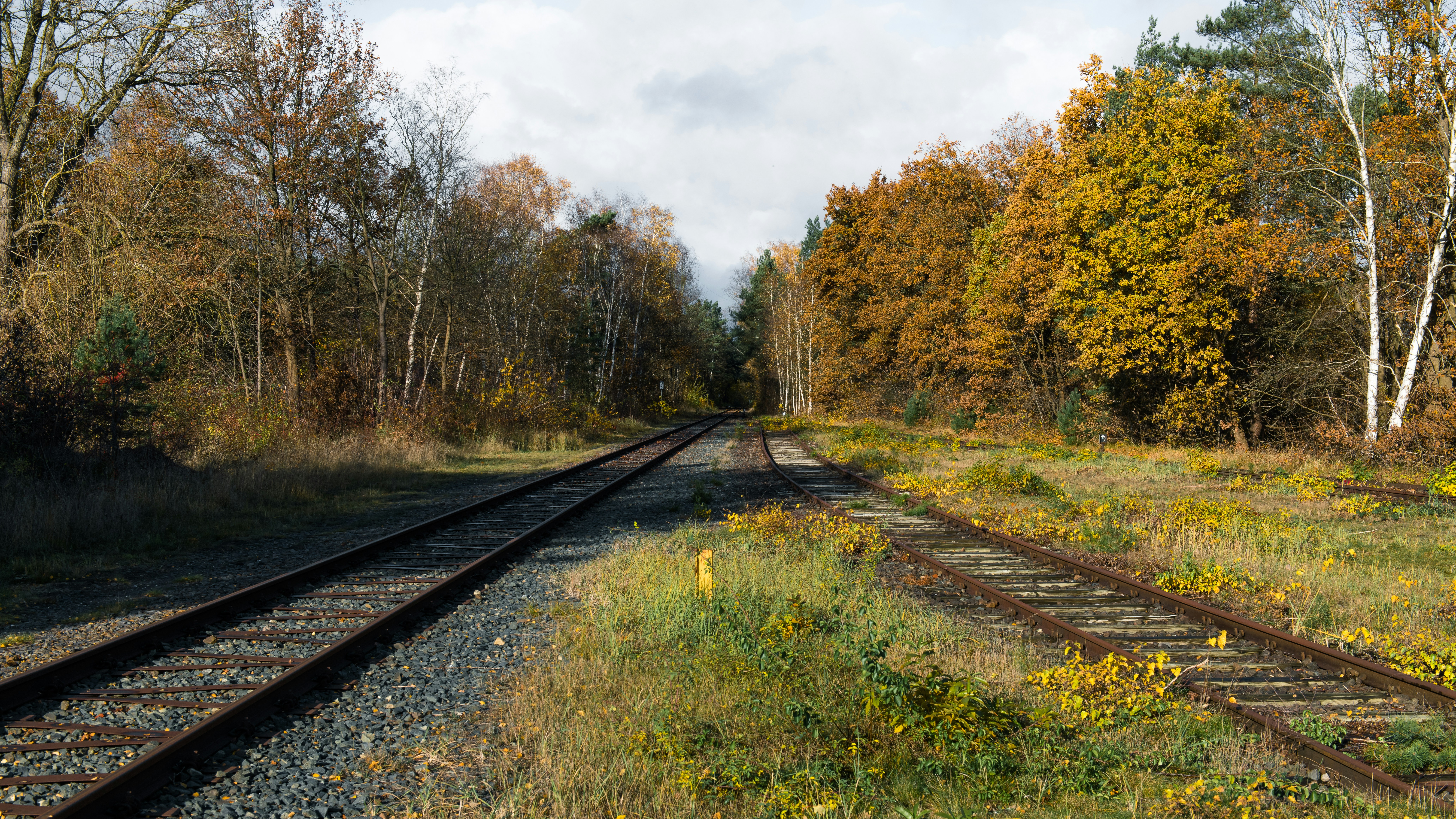 Photo by hamburgmeinefreundin