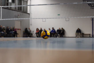 A yellow and blue ball sitting on top of a hard wood floor