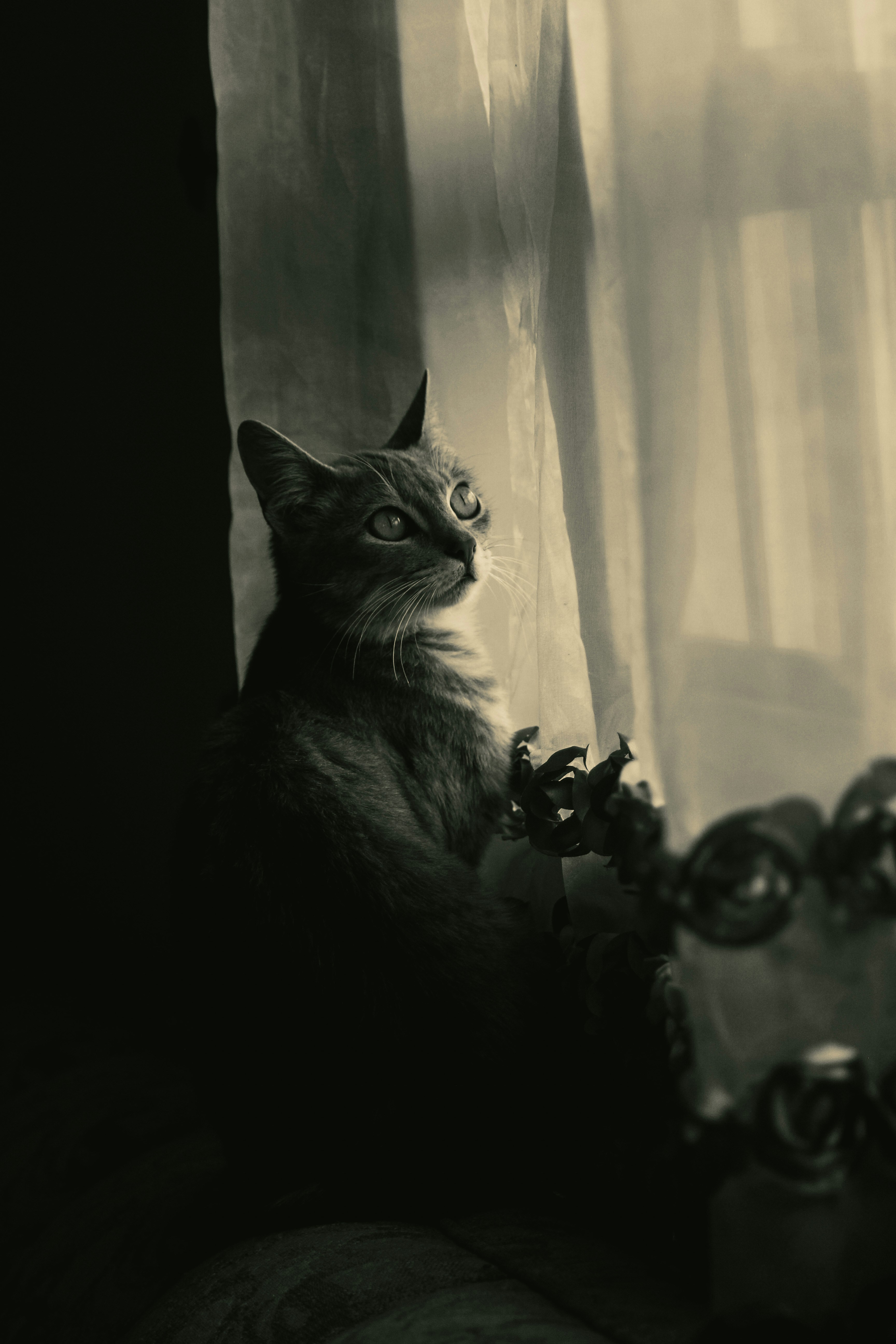 Noises in the Night: Is It a Ghost or Just the House Settling? (image credits: unsplash)