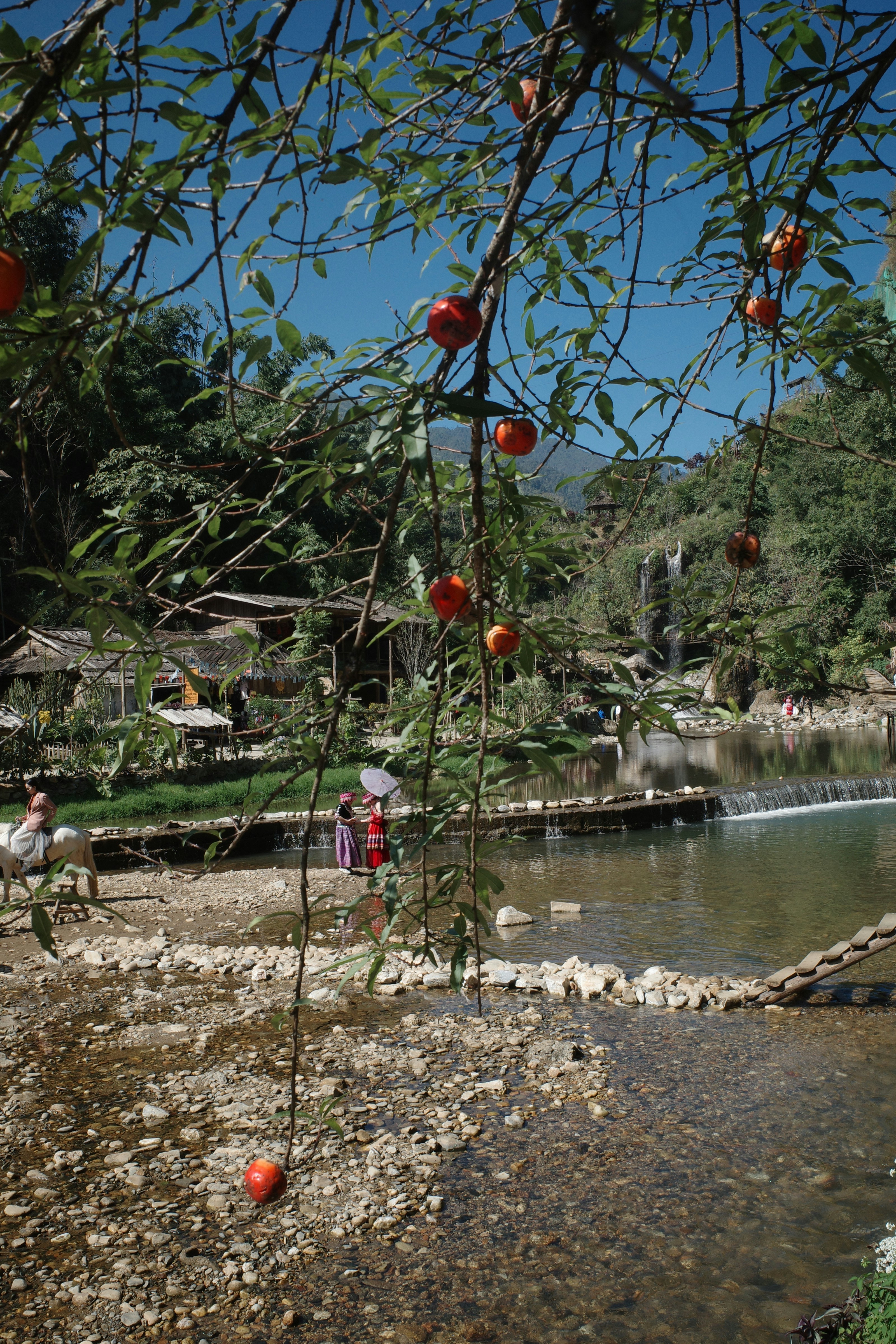 Bus route to Coñaripe