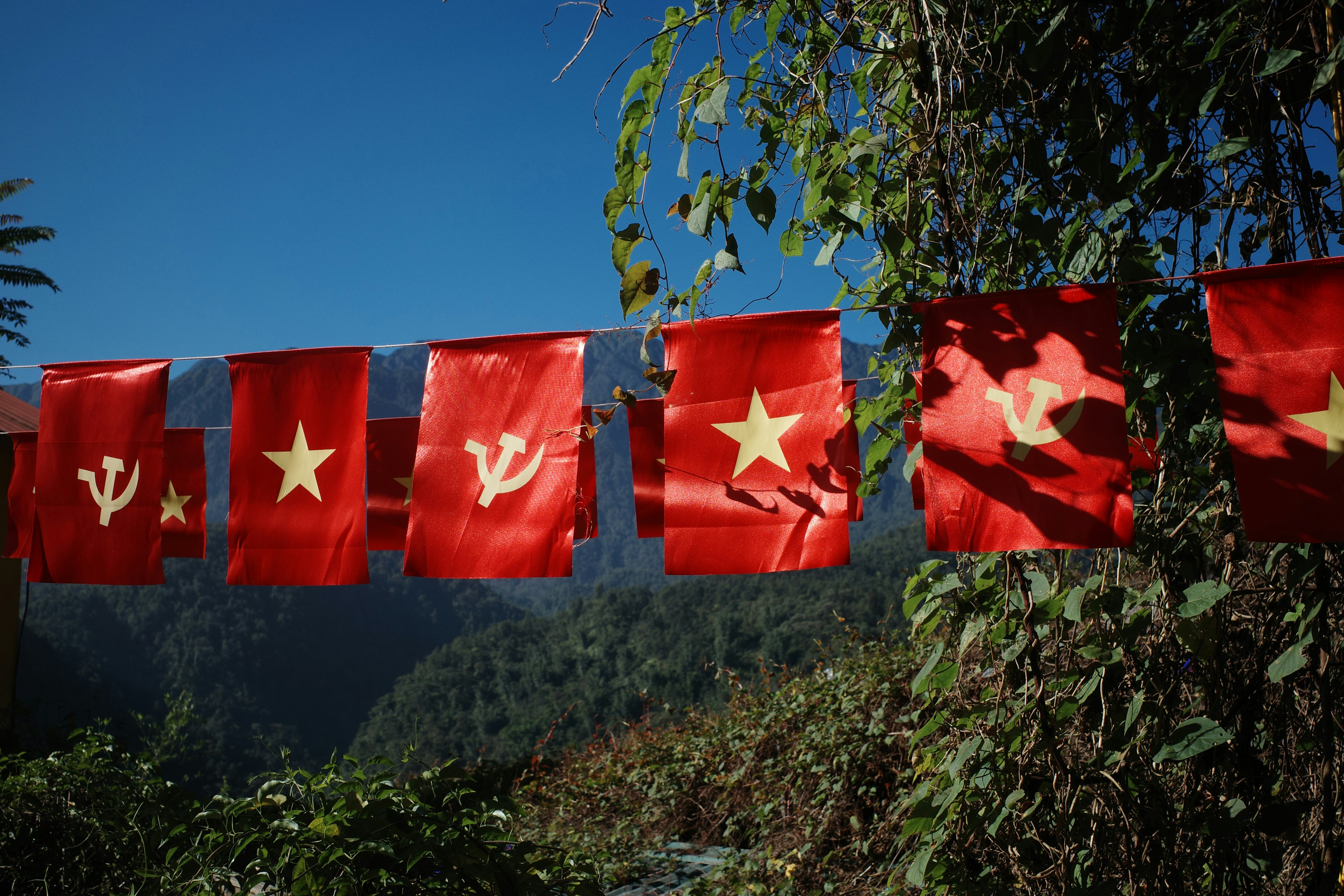 A row of red flags hanging from a tree
