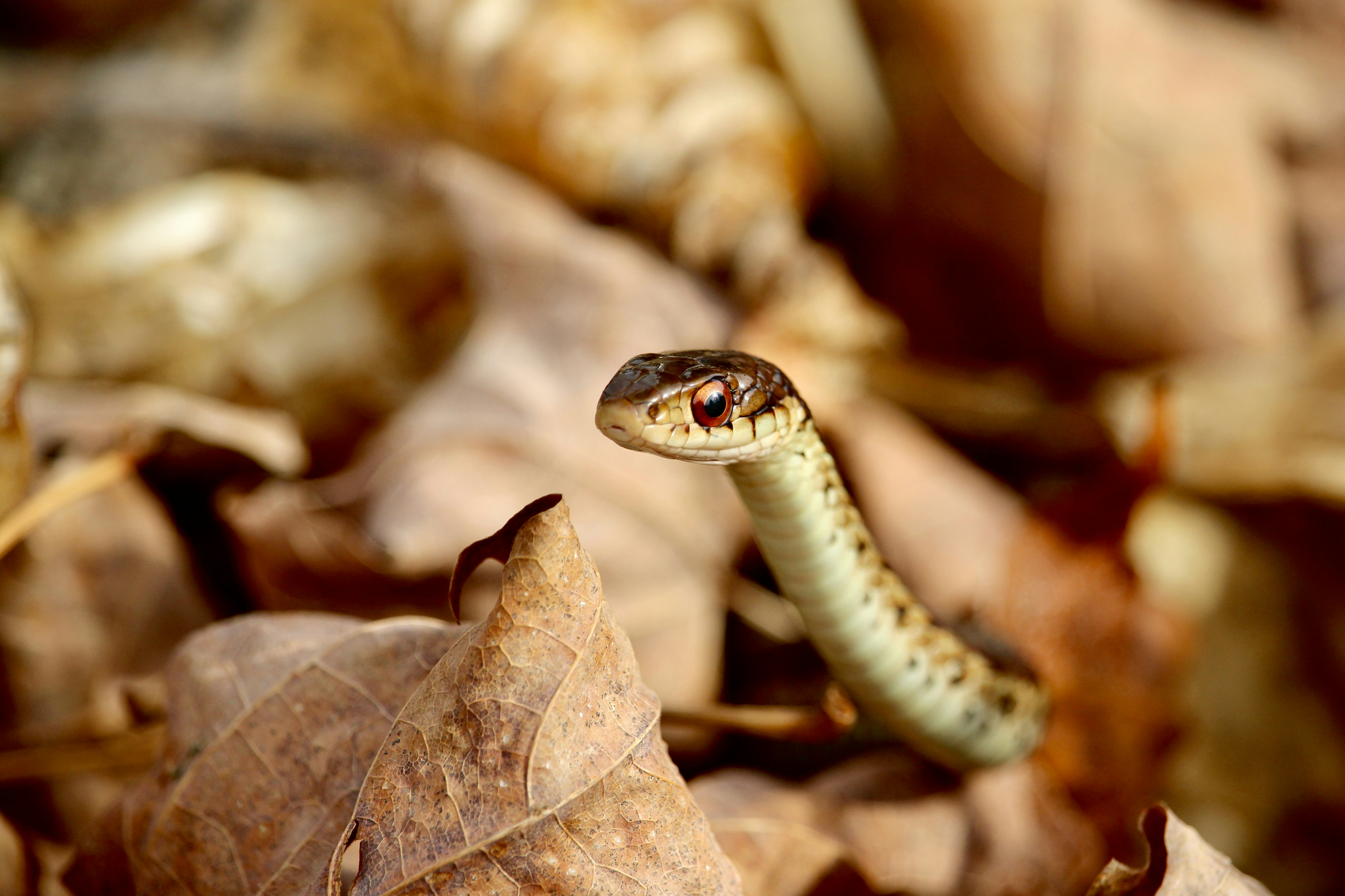 Photo by cecilemousist