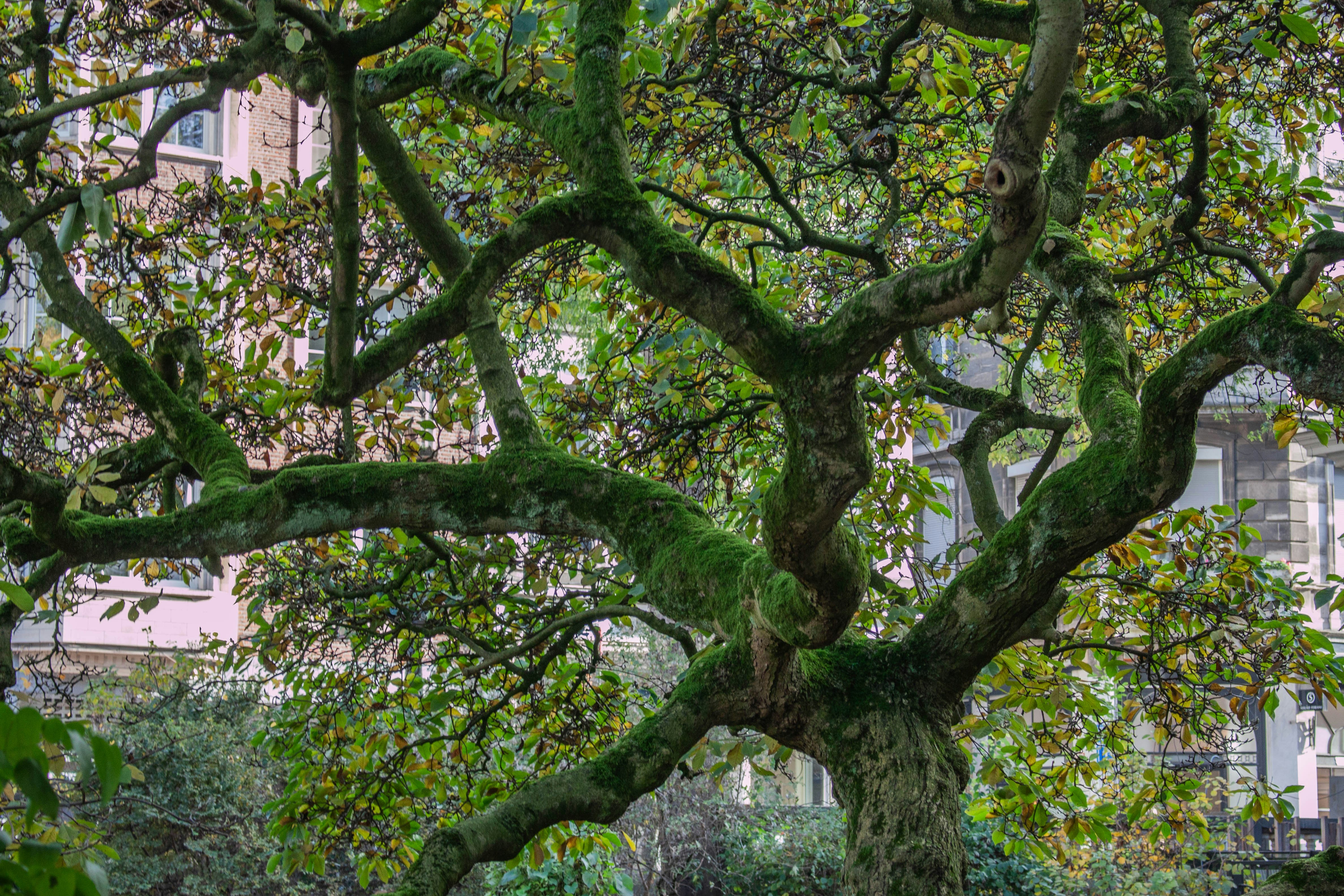 Photo by kamillaisalieva