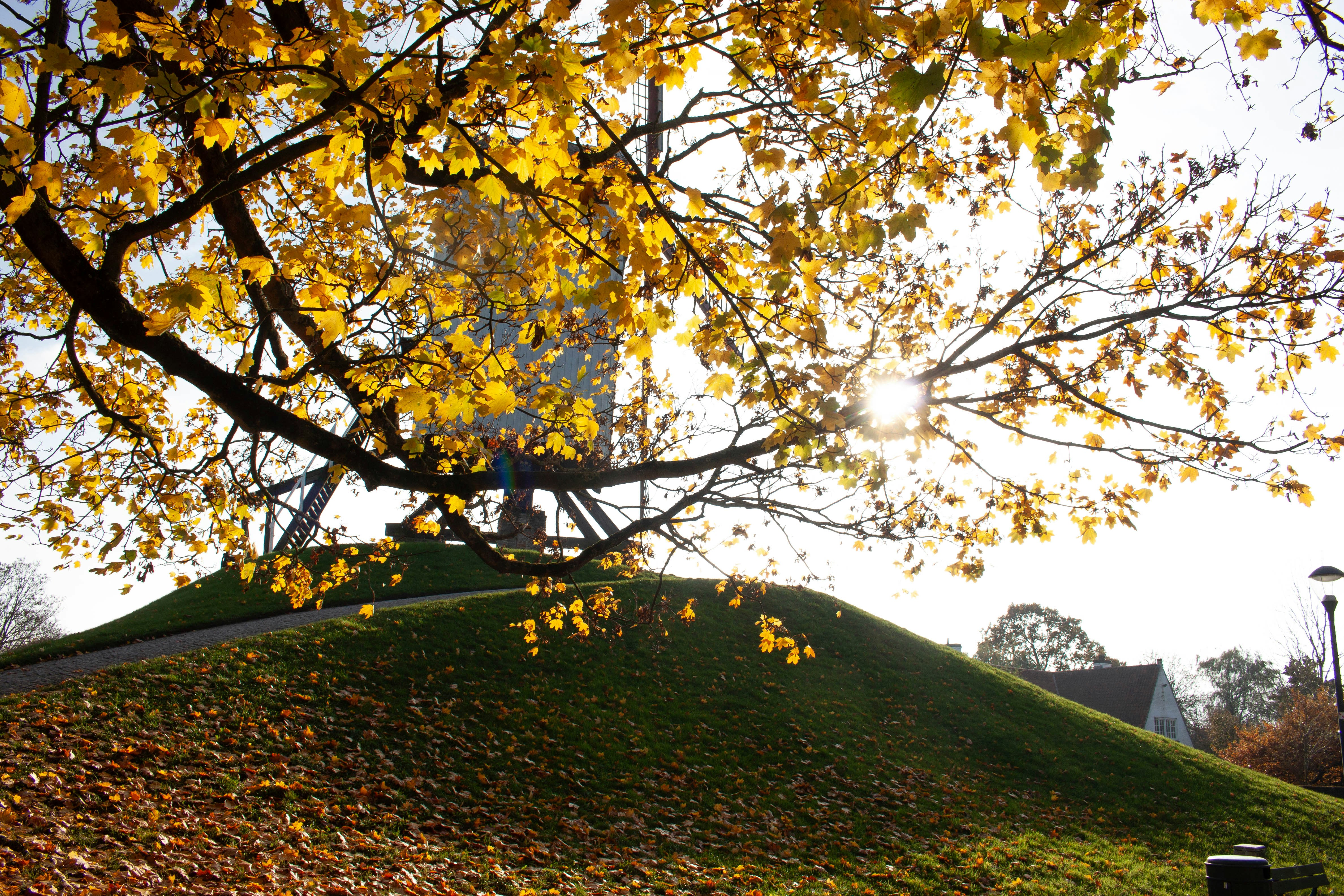 Photo by kamillaisalieva