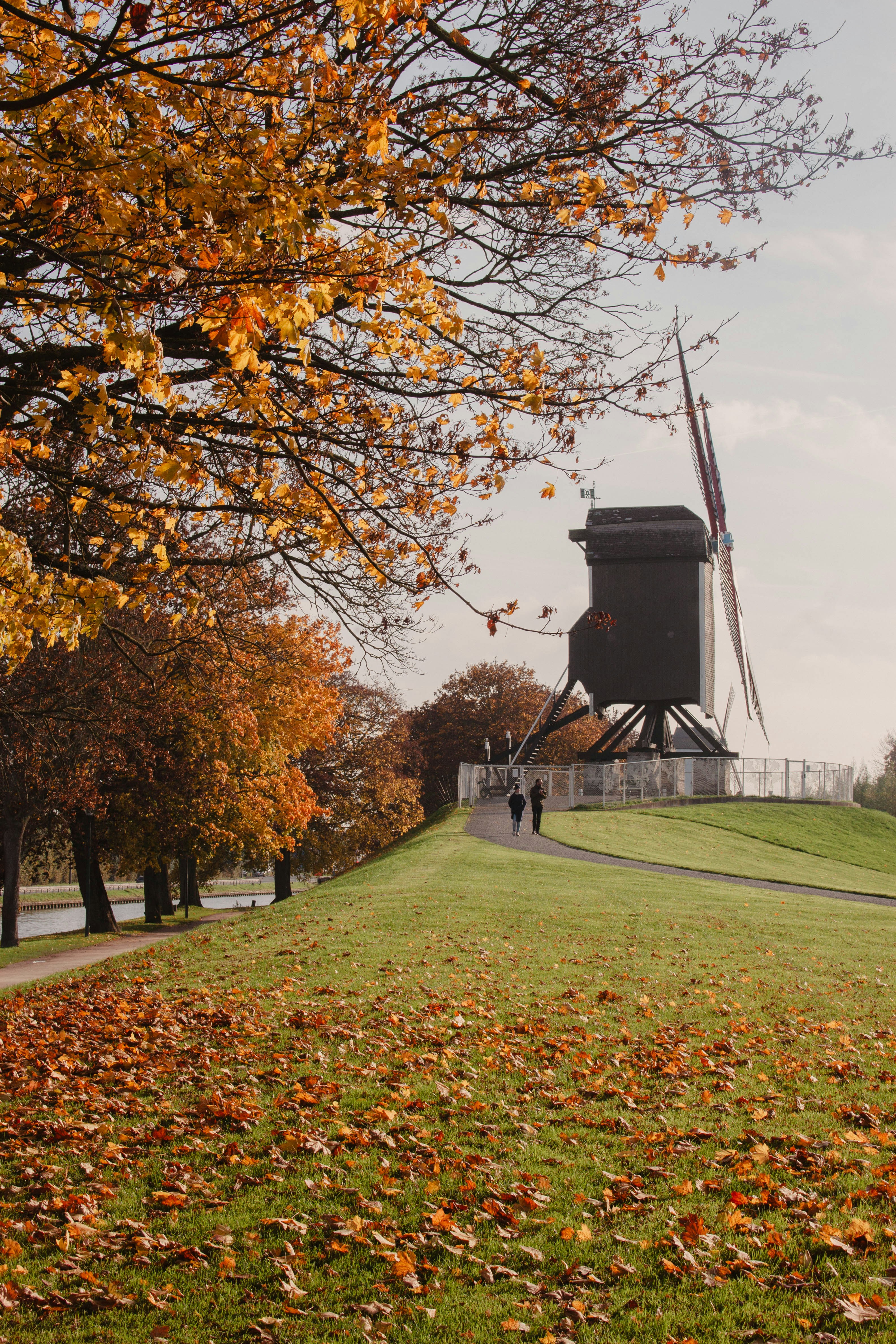 A windmill on a hill in the fall photo – Free Autumn Image on Unsplash