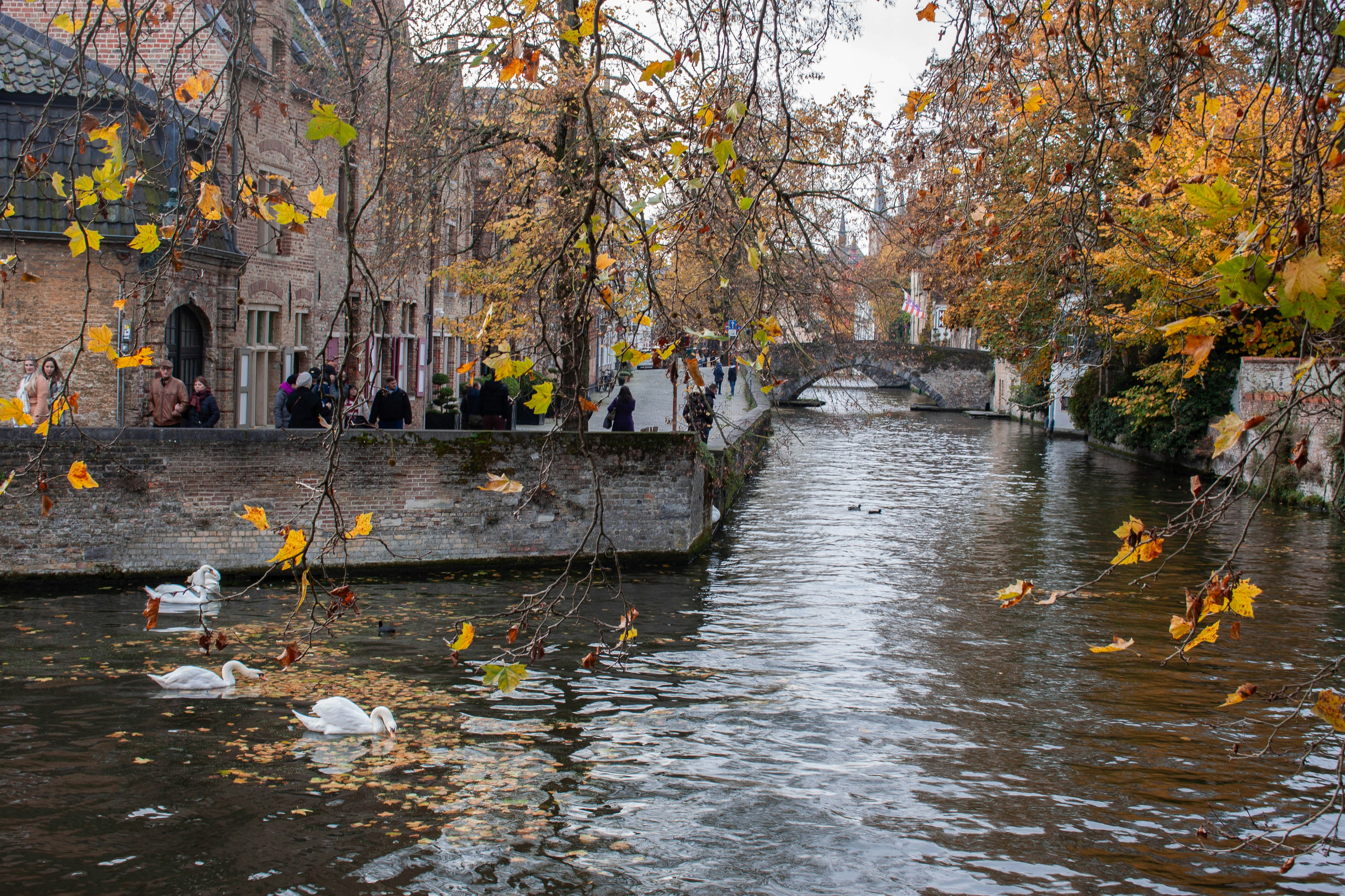 Photo by kamillaisalieva