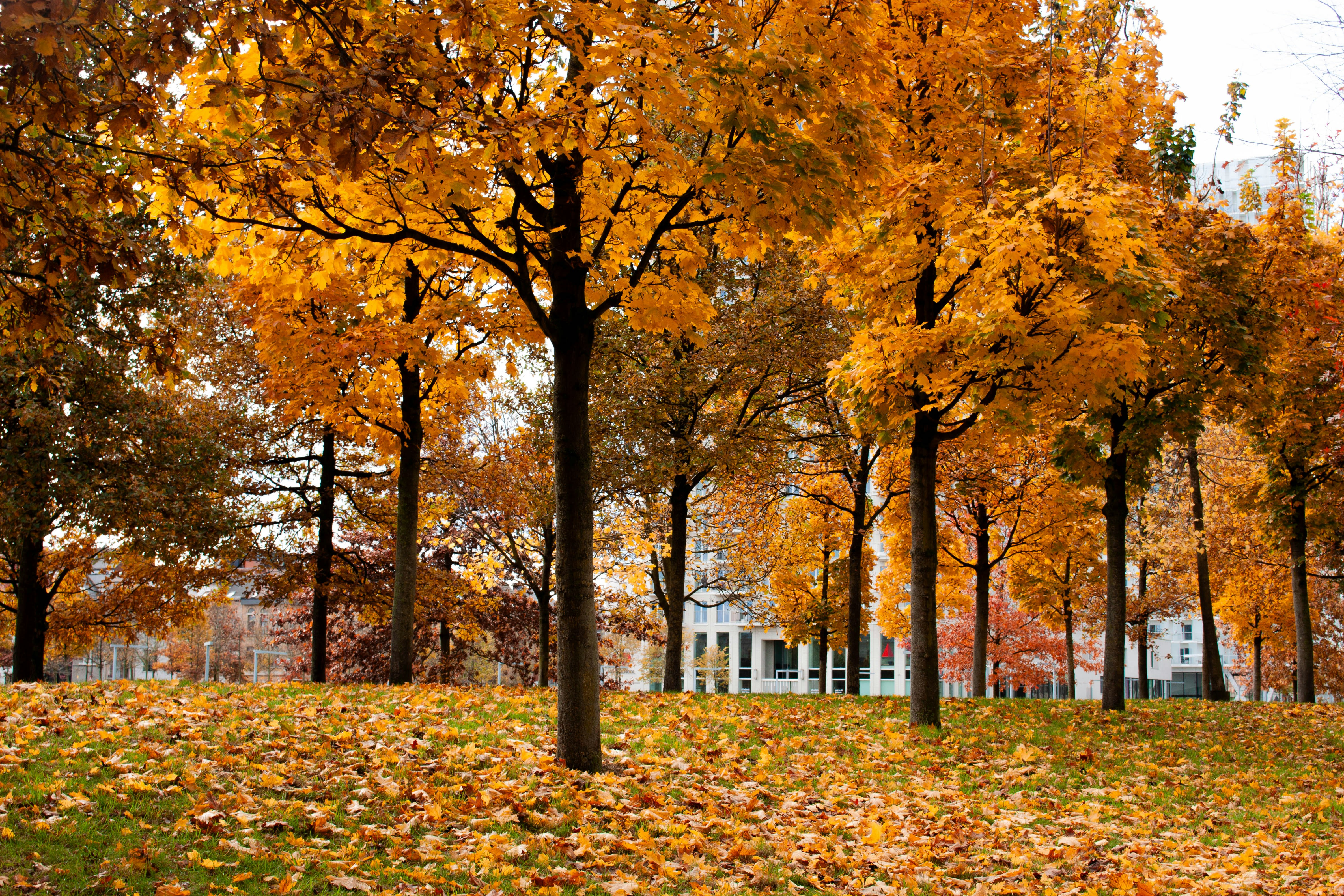 Photo by kamillaisalieva