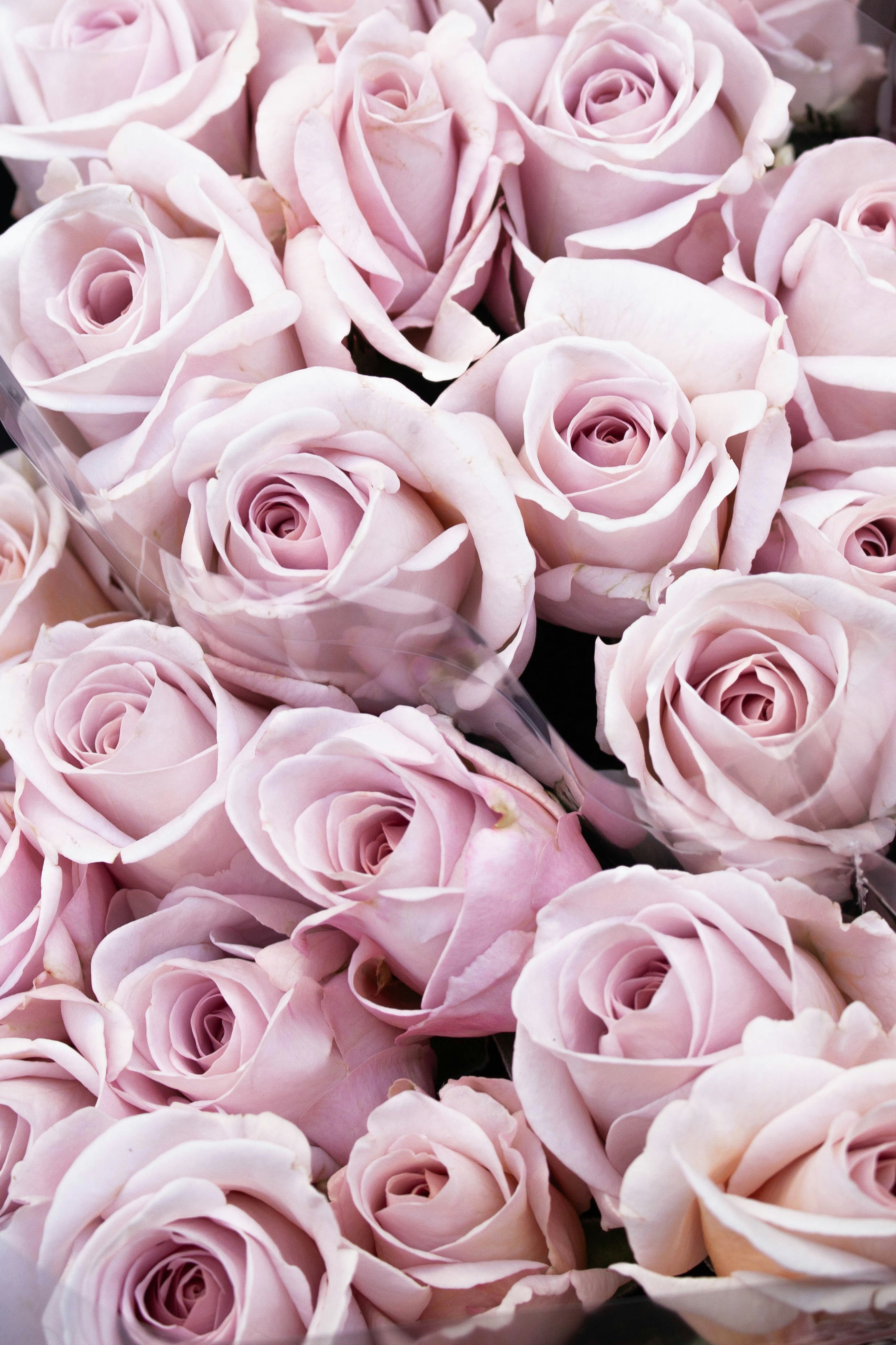 Photo by kamillaisalieva