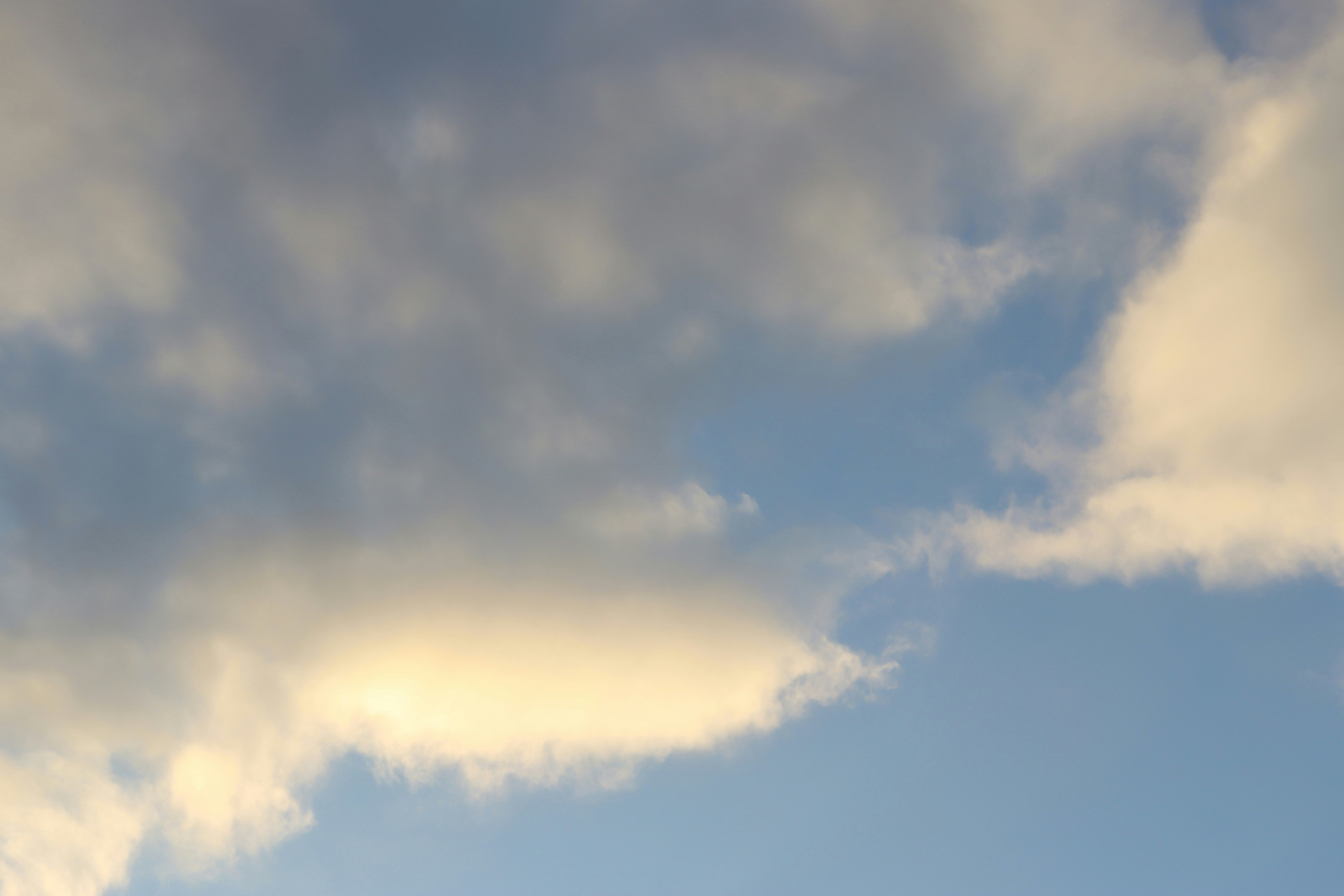 Photo by bored_mongoose