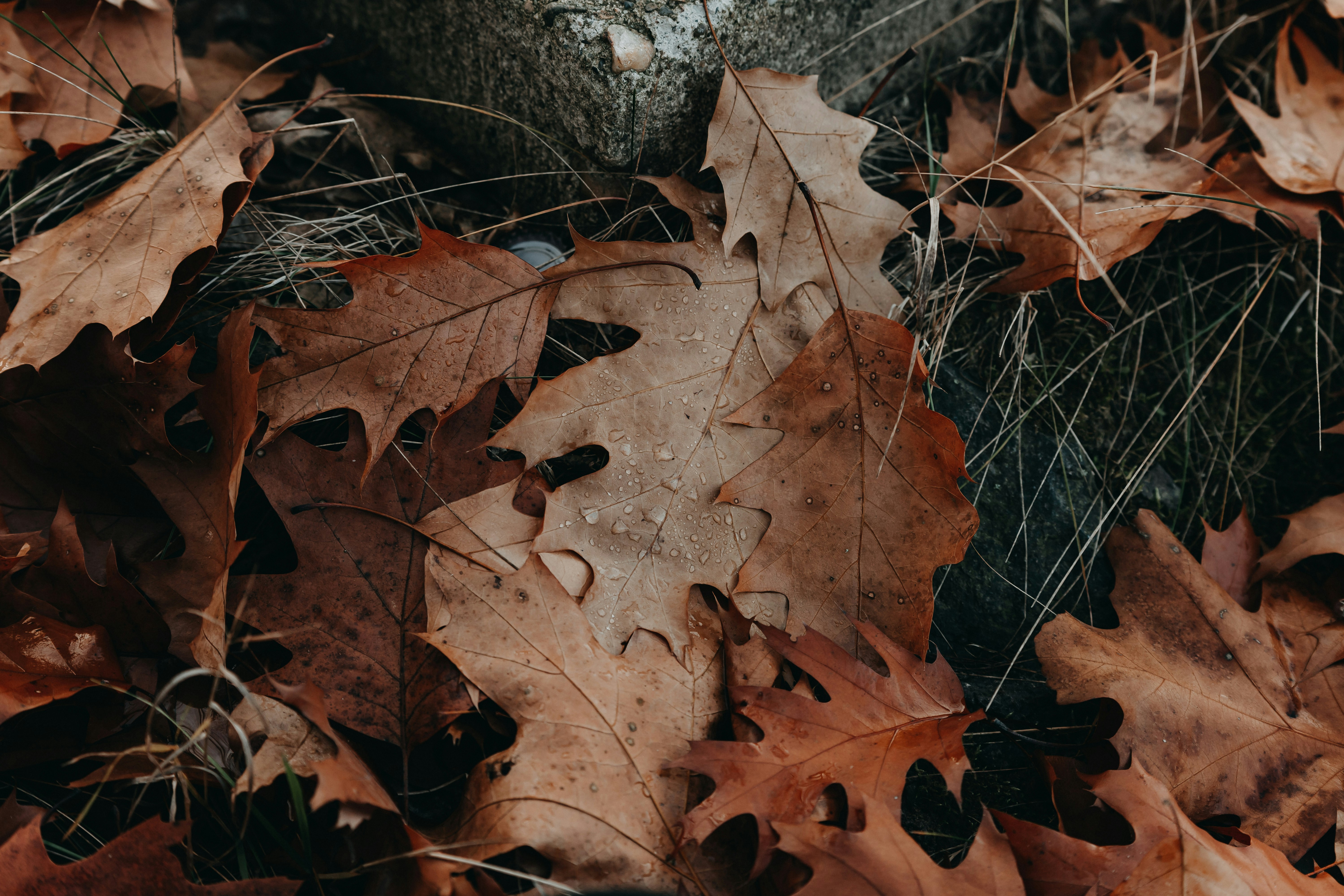 Photo by sylvester_s