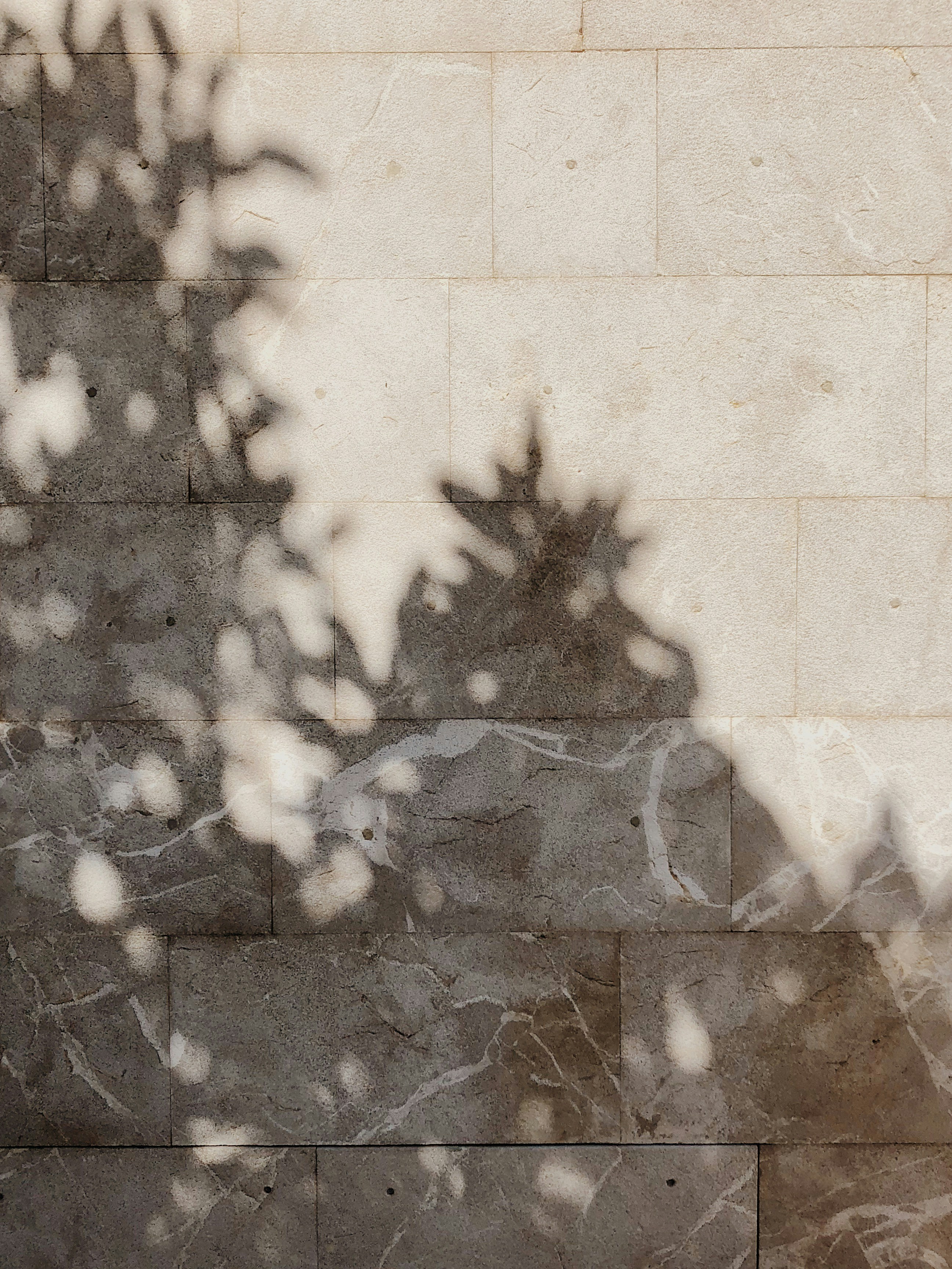 A man riding a skateboard down a sidewalk