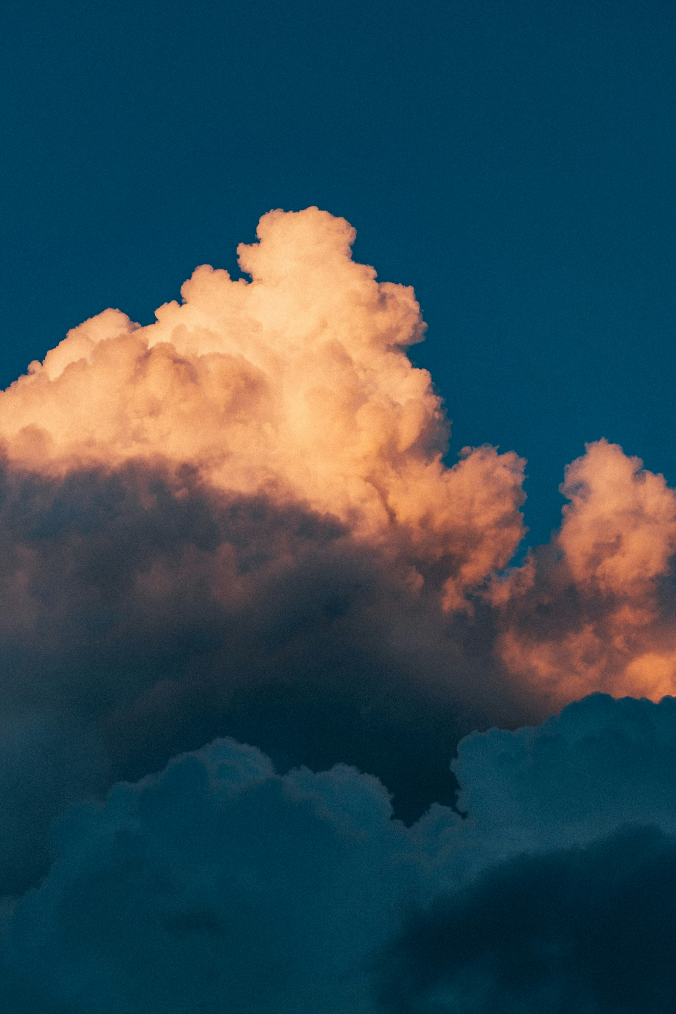 Photo by tsuyoshikozu