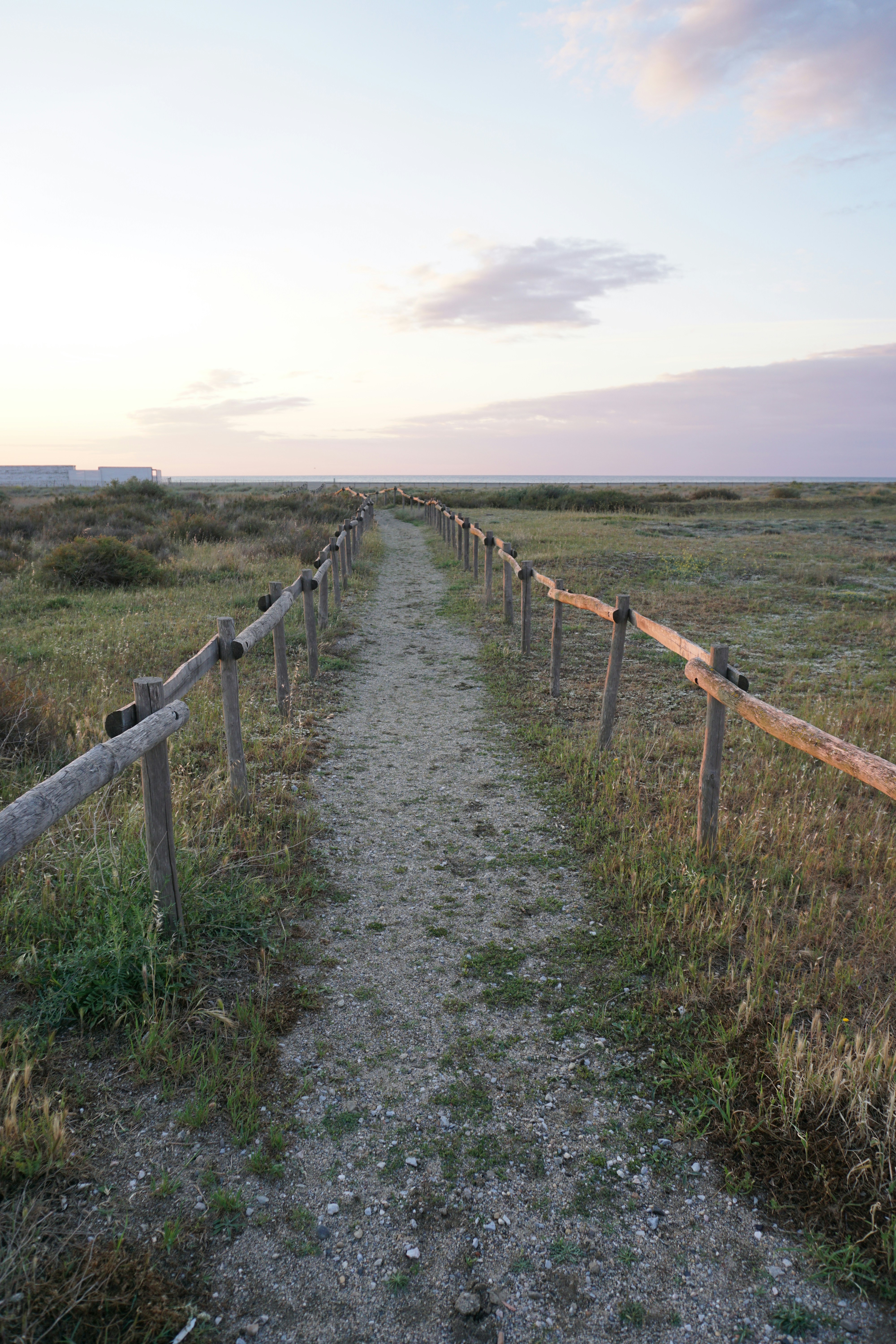 Photo by seanneshell