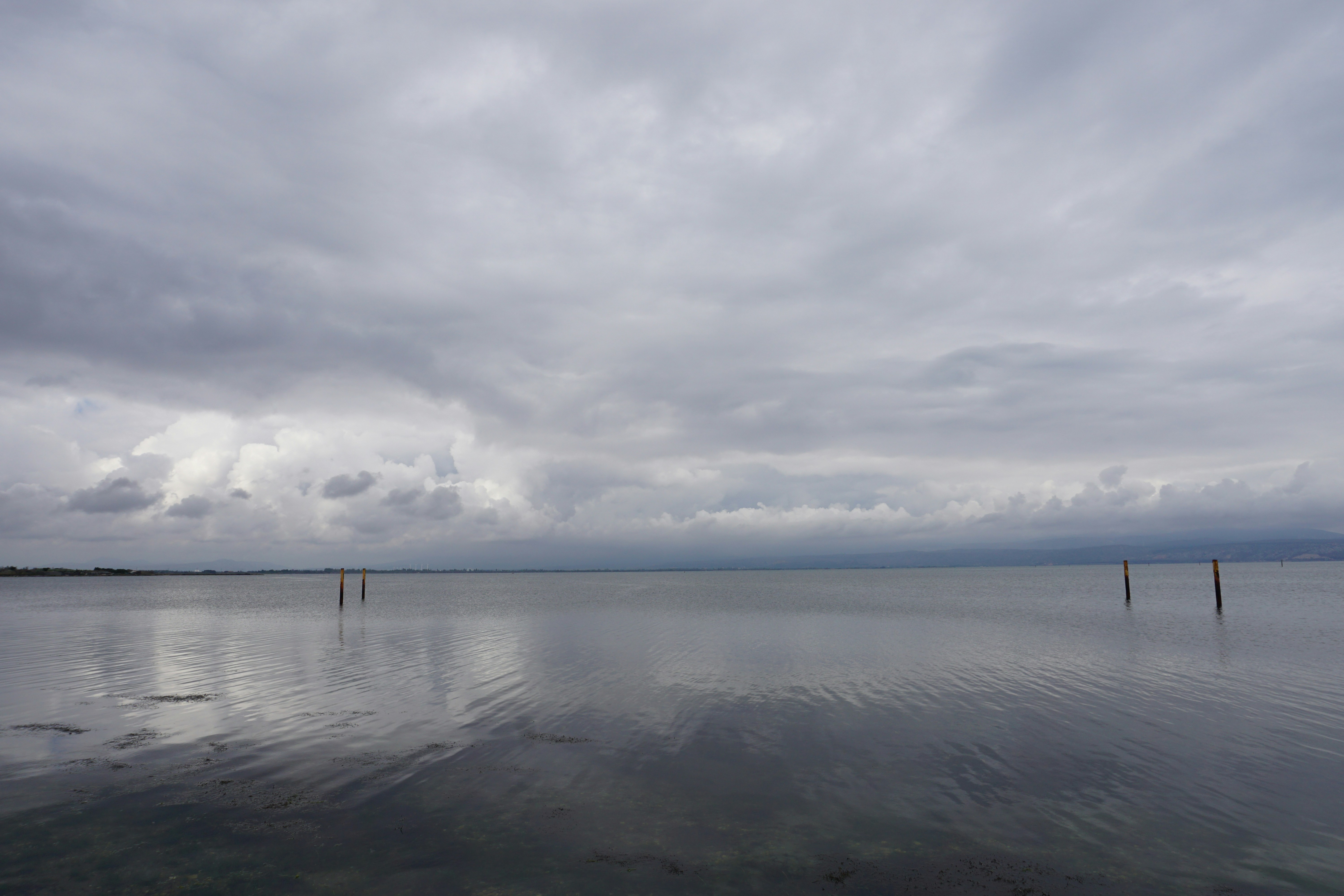 Photo by seanneshell