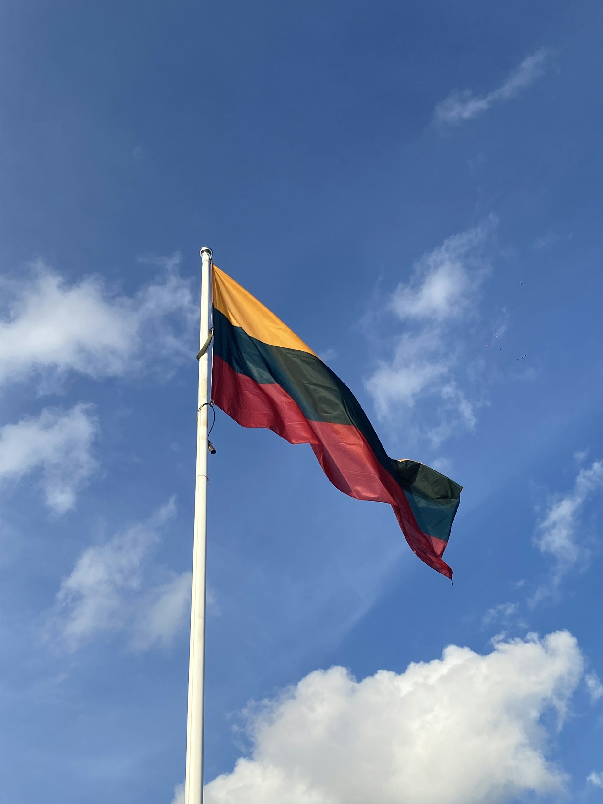 A flag is flying high in the sky