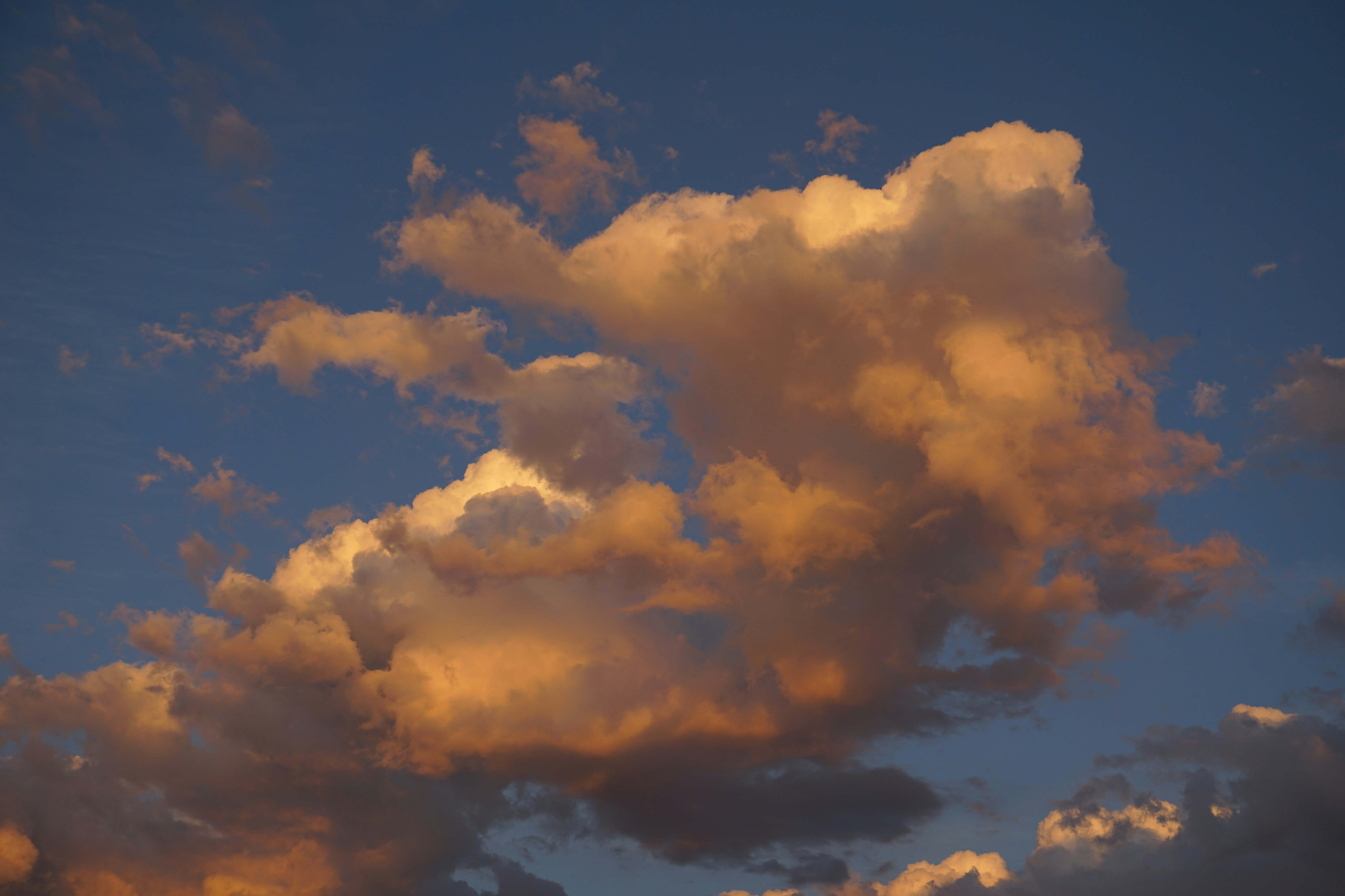 Photo by seanneshell