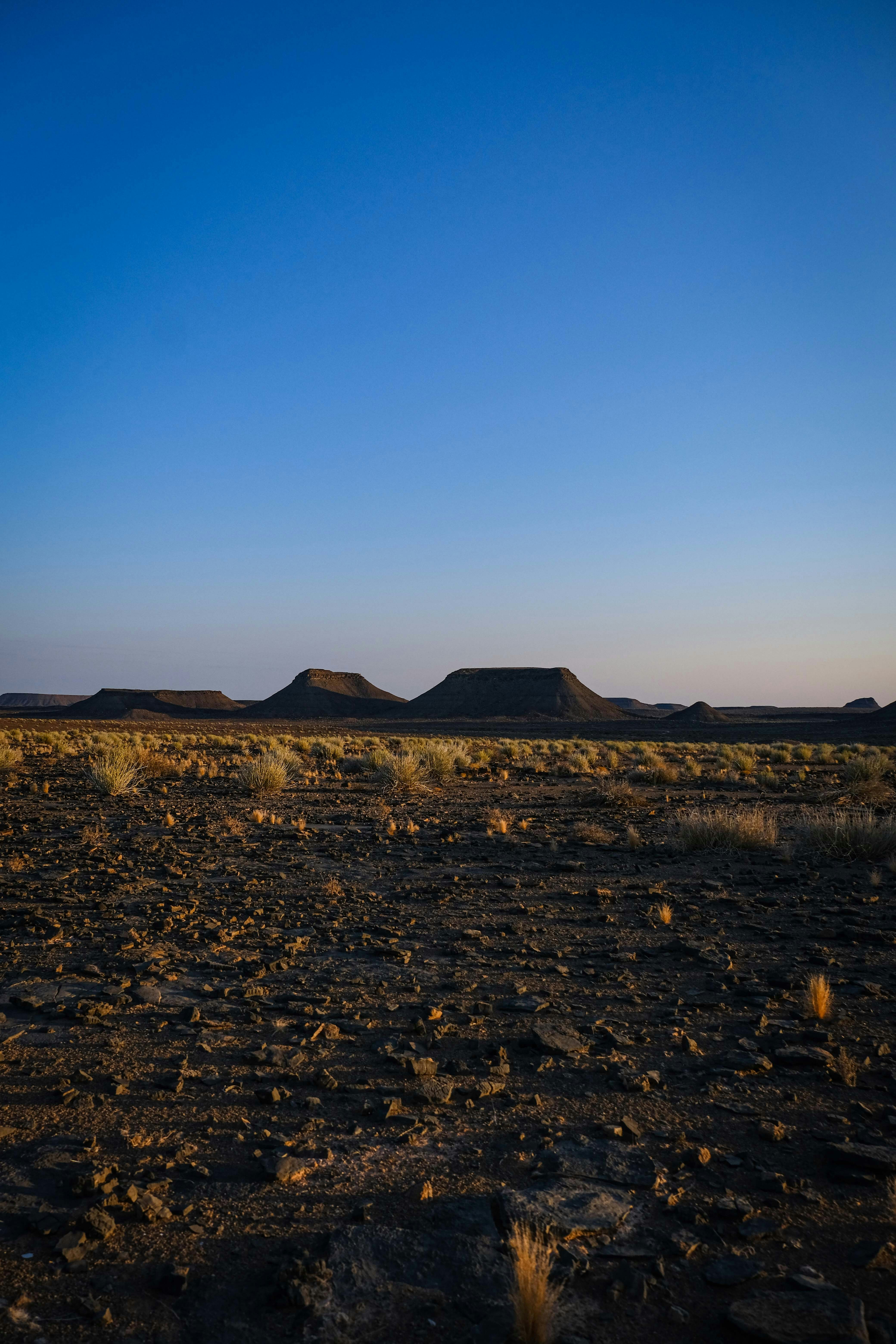 Photo by francesco_ungaro