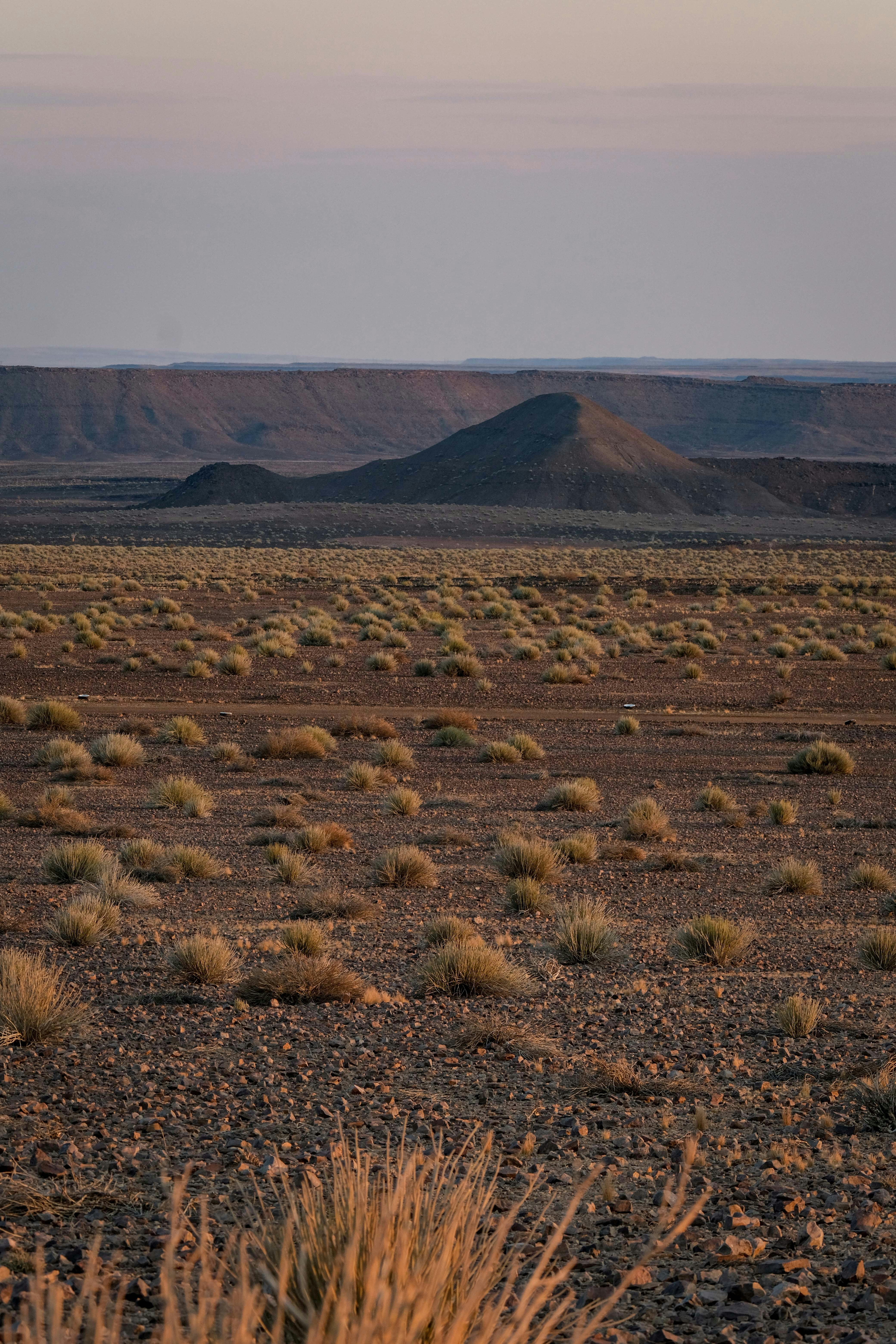 Photo by francesco_ungaro