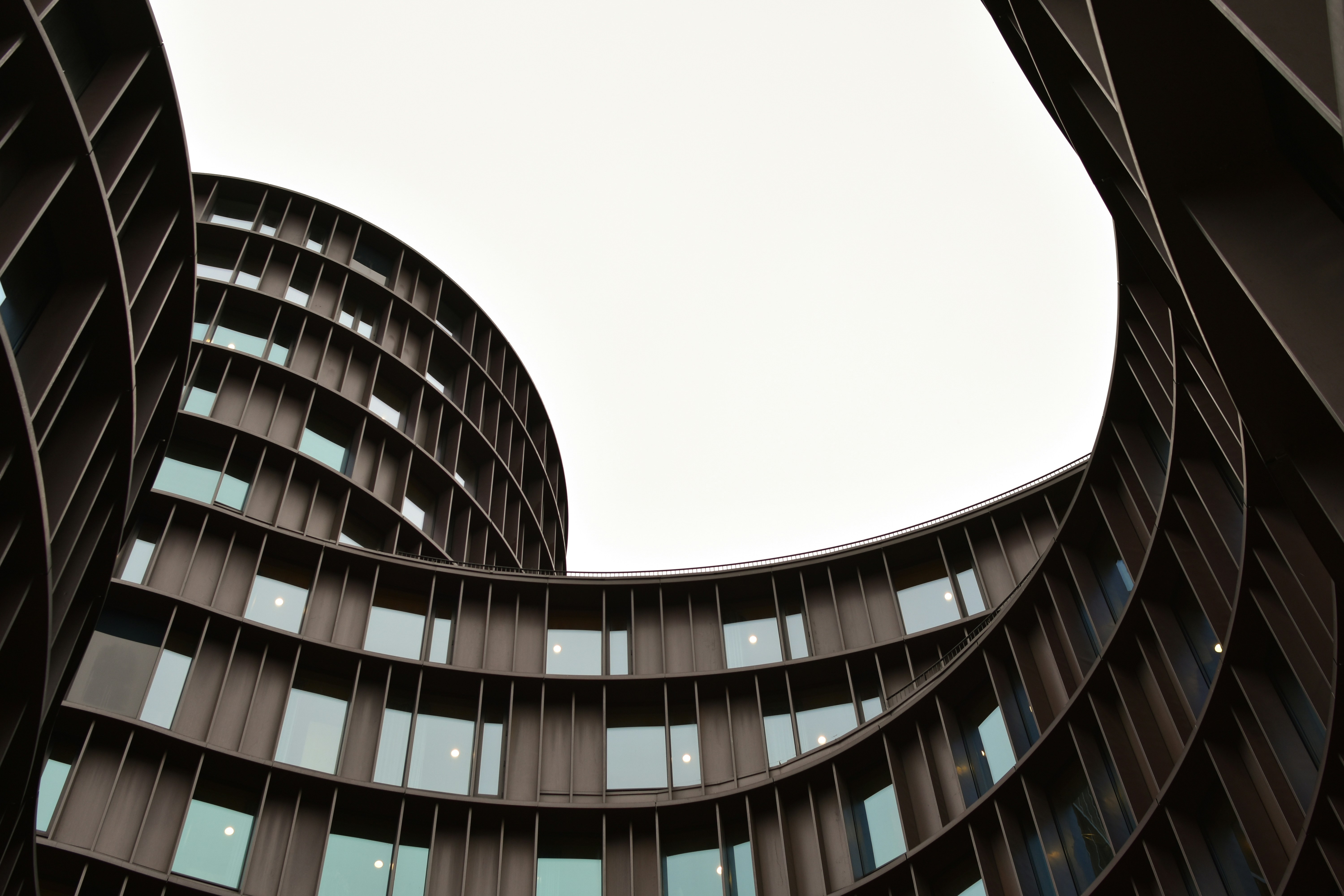 지역 채혈은 어떻게 진행되나요? - 채혈의 모든 것