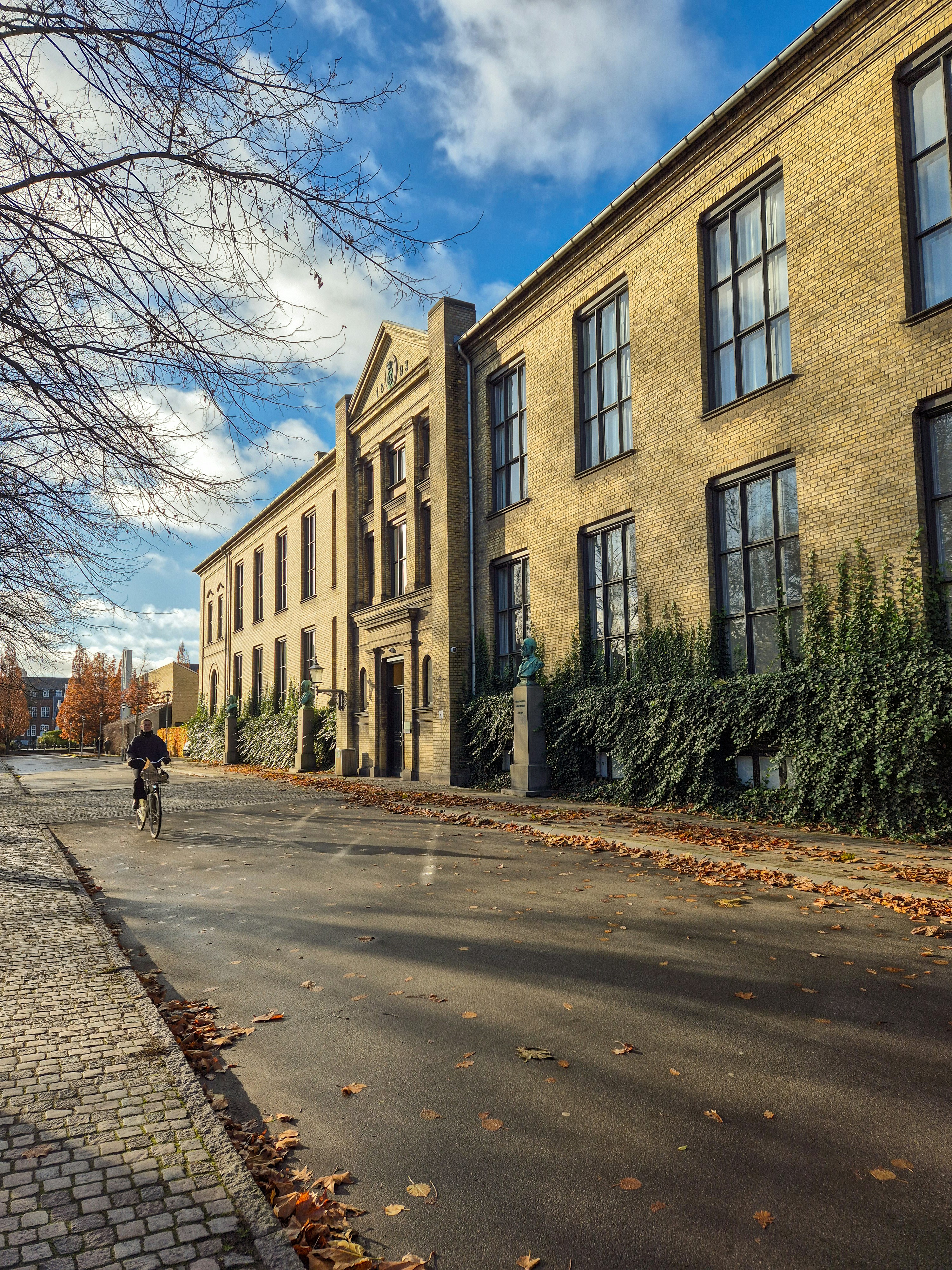 Photo by mirceadrian