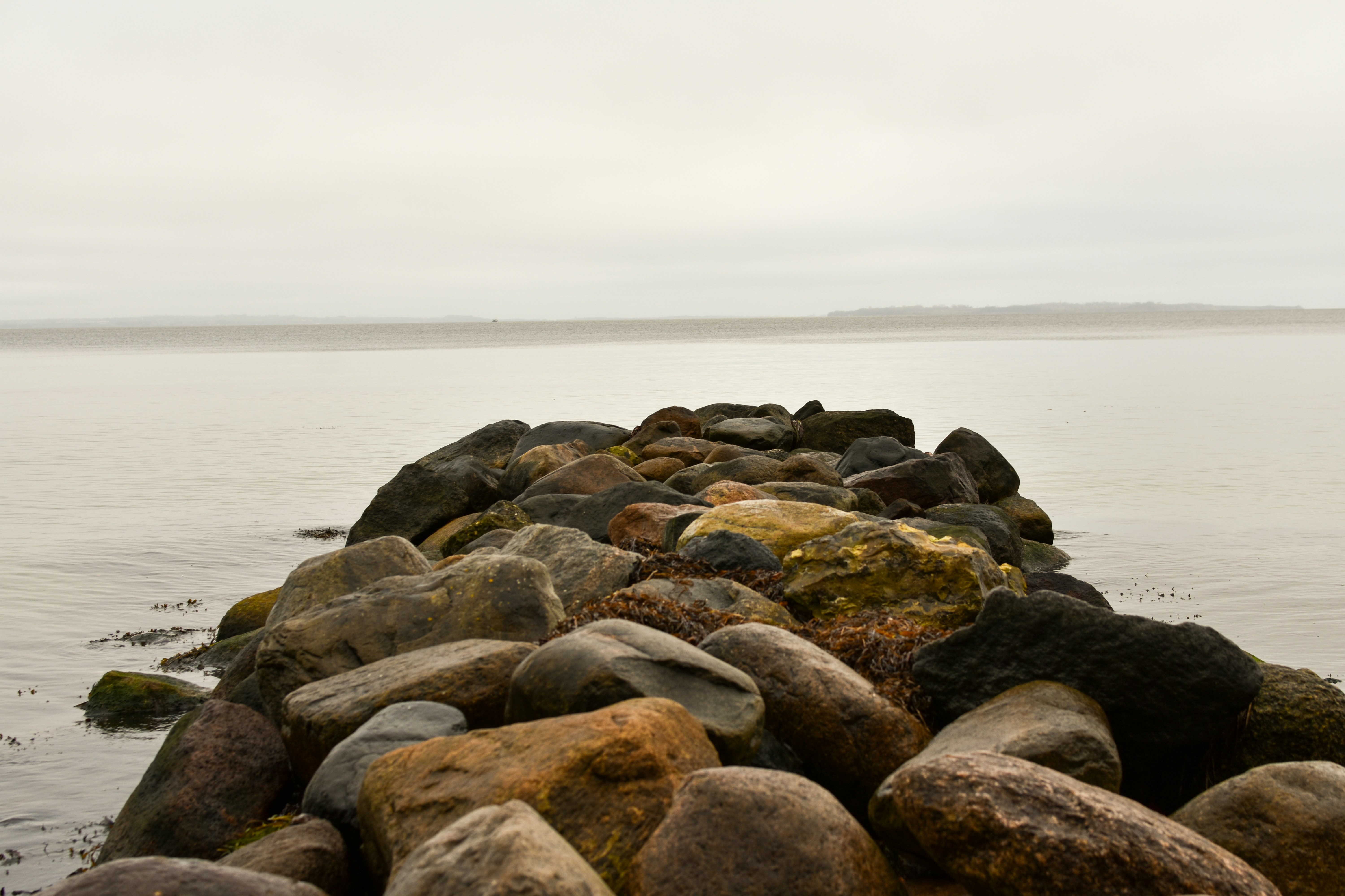 Photo by mirceadrian