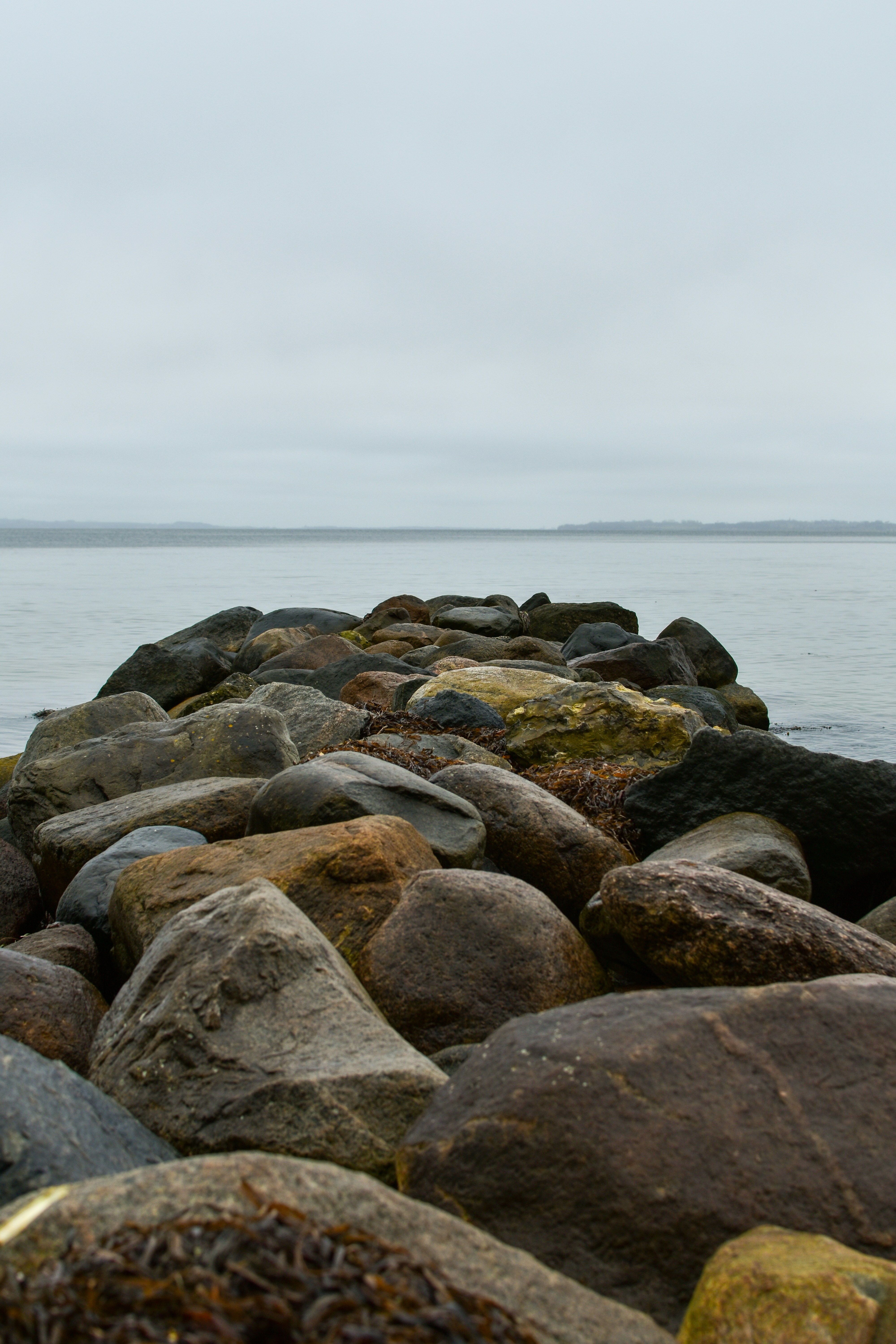 Photo by mirceadrian